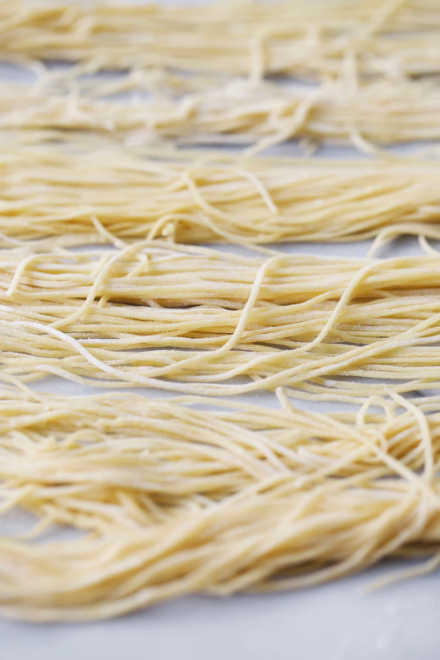 homemade capellini pasta