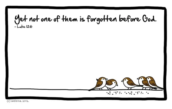tbot-sparrows-worth-more-self-esteem.jpg