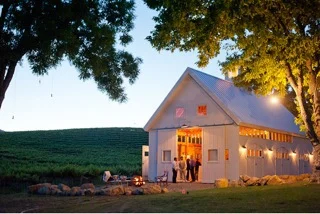 leilabrewster-wedding-24.jpeg