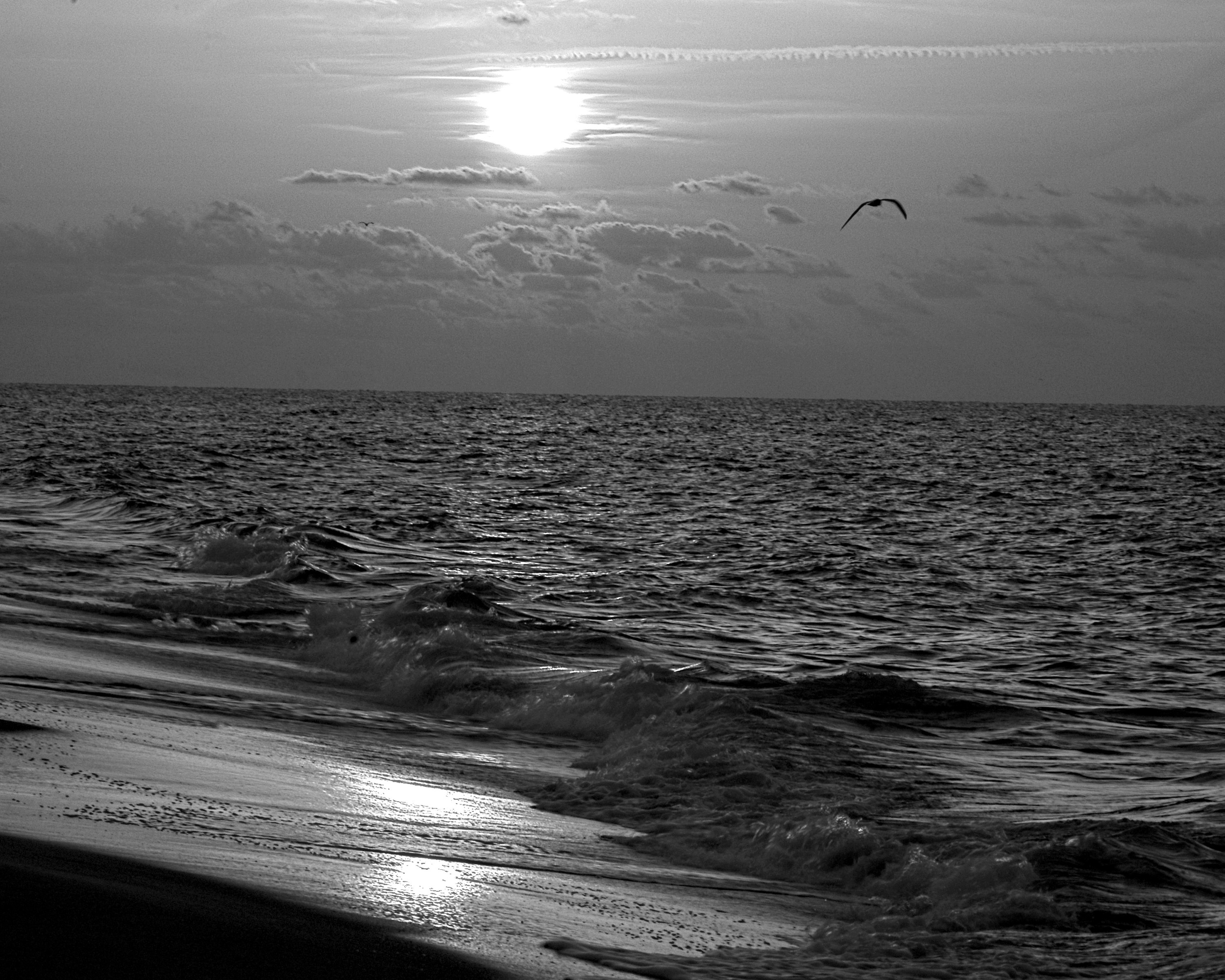 Photographer: Bill Carroll, "Dawn Light"