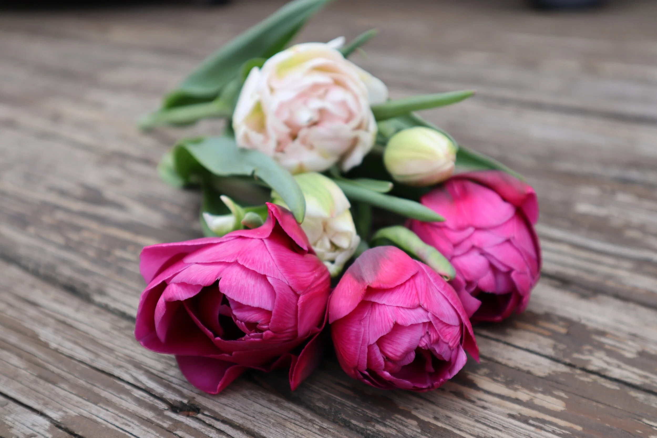 S3 E69: Sewing Quilting and How to Choose the Best Upholstery for You