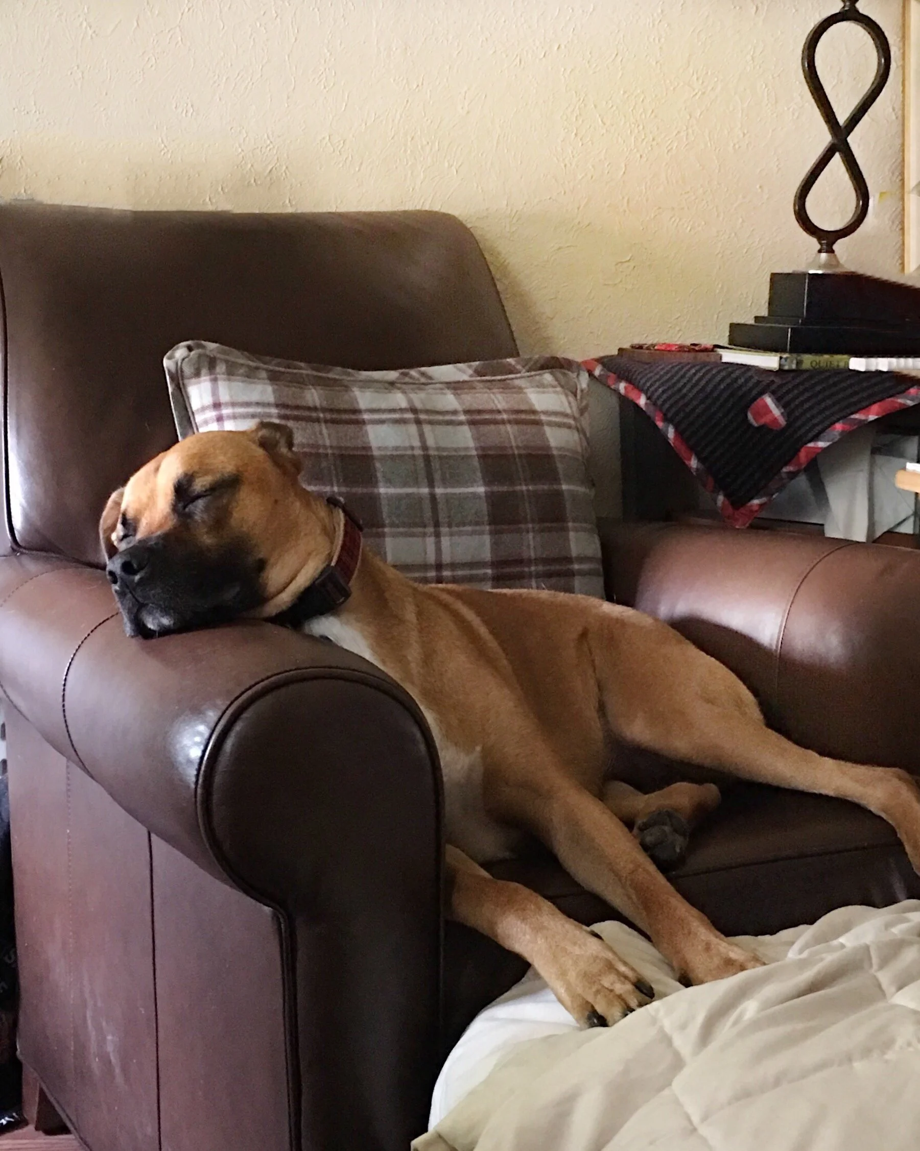 S4 E75: Decorating a Cozy Home, plus Sewing and Knitting updates