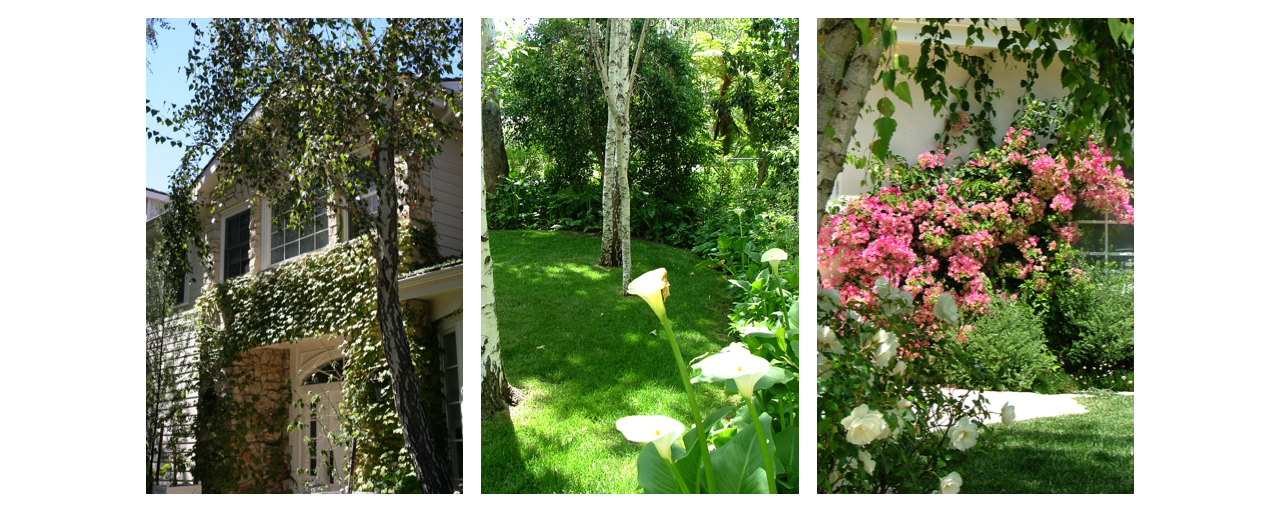 longridge avenue, sherman oaks