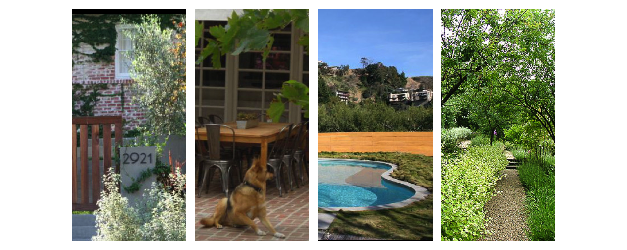 OldSiteDipt copy1.png