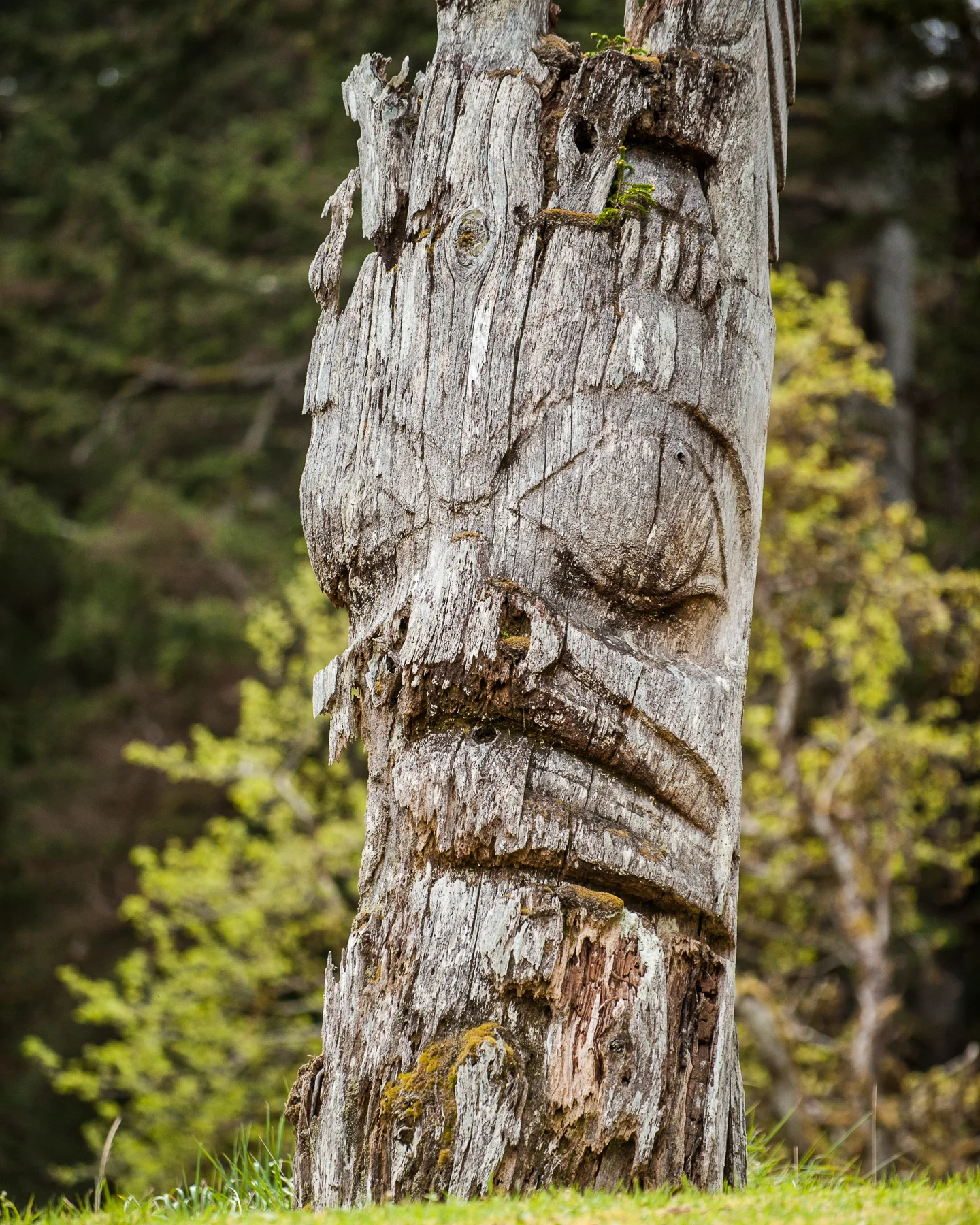 Sgan Gwaii