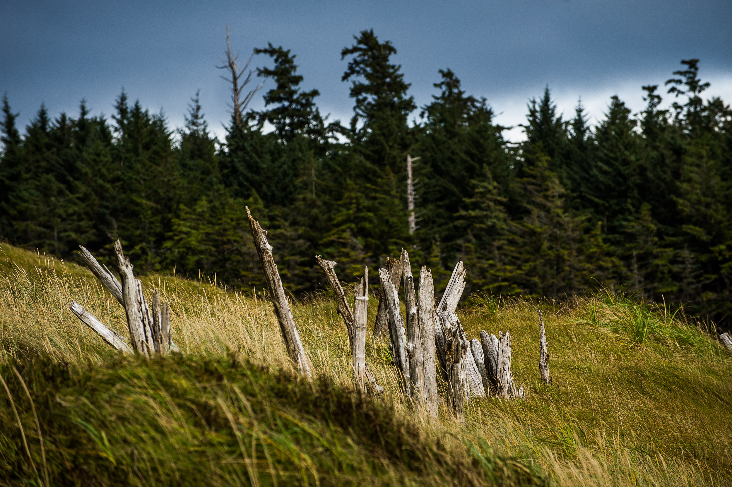 Cape Scott