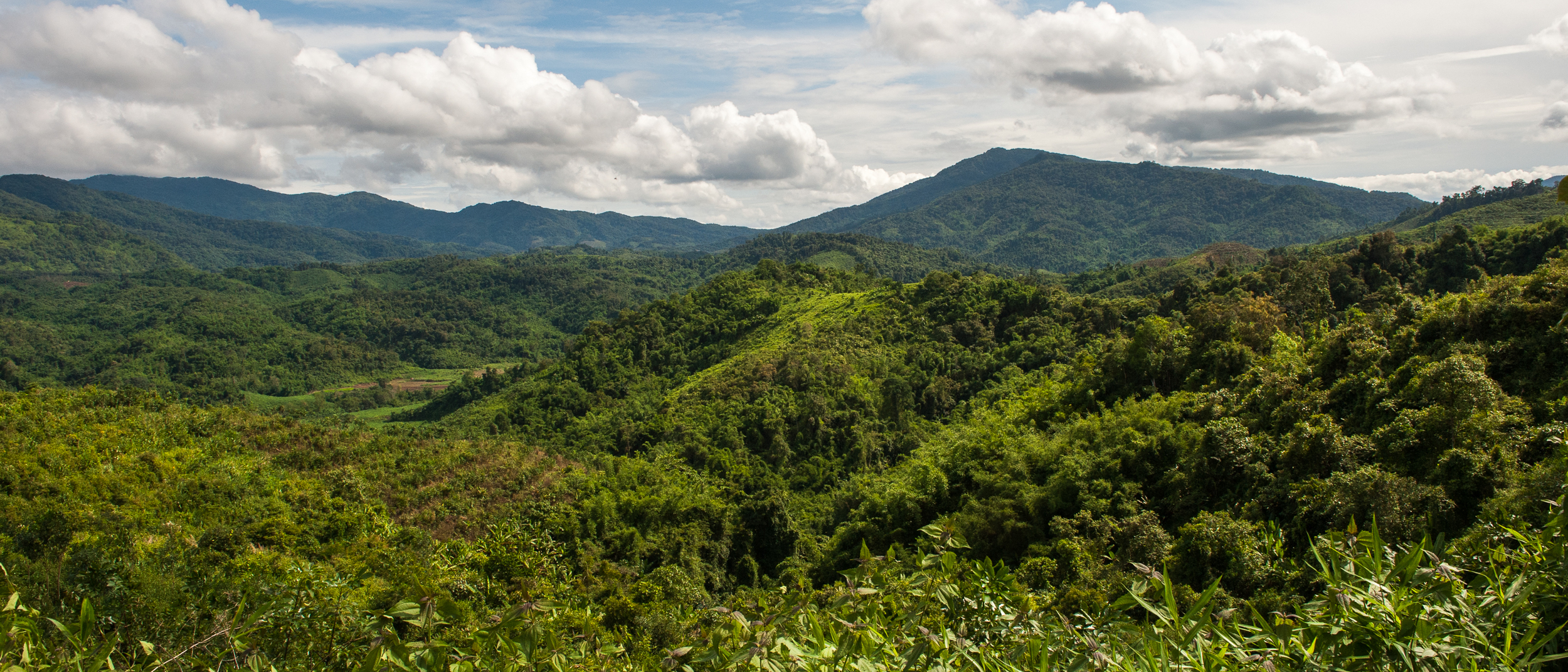 Nam Ha NPA