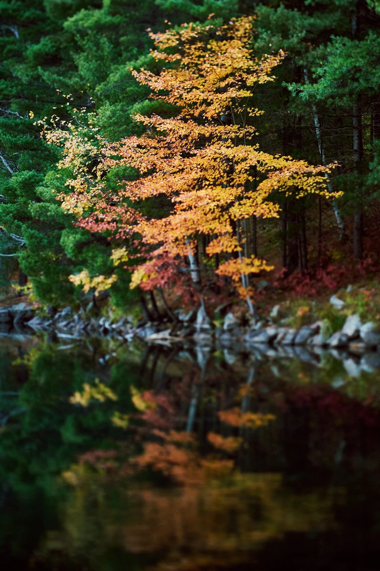 14-10-11__DRP1242_Frontenac.jpg