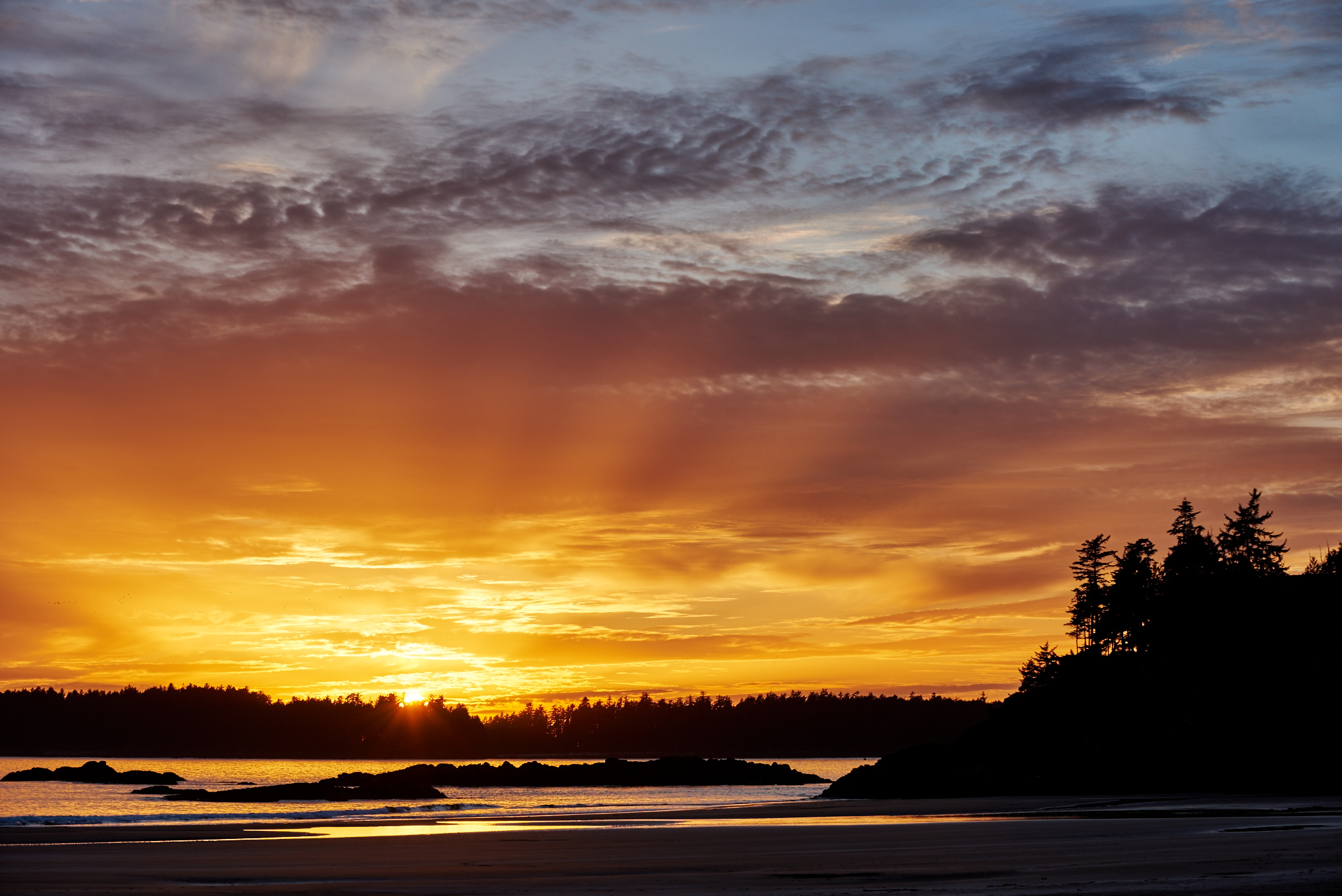 MacKenzie Beach Tofino, BC Canada