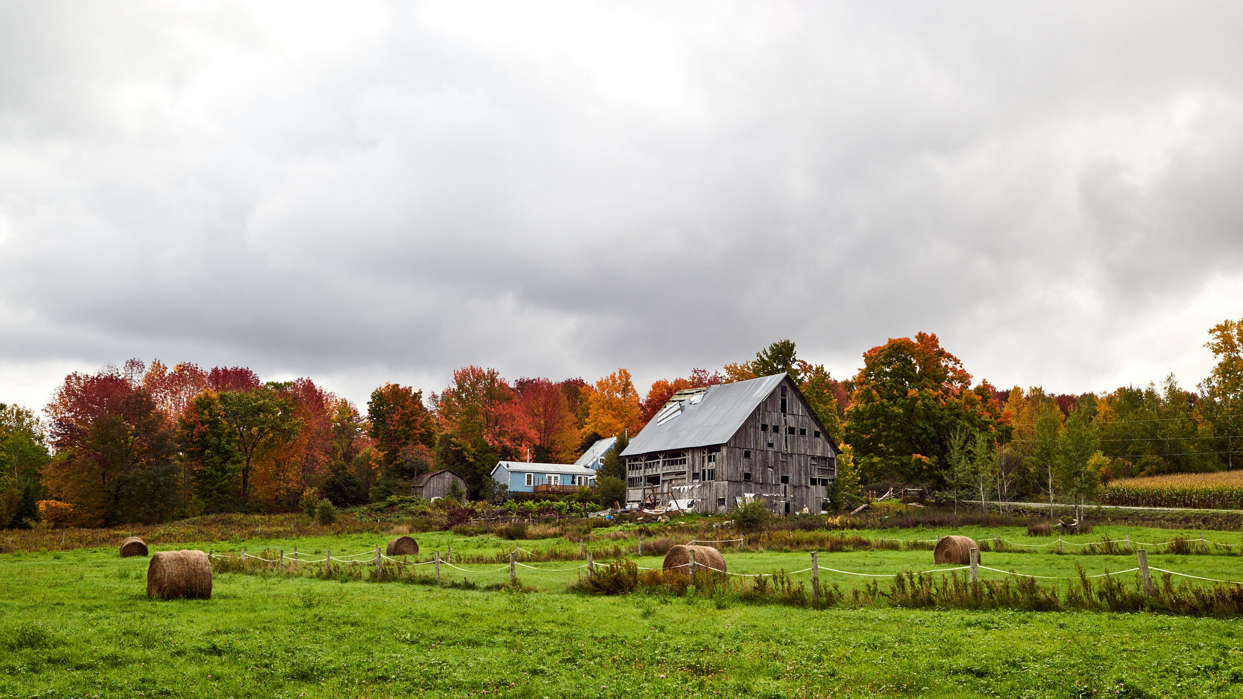 Autumn Barn