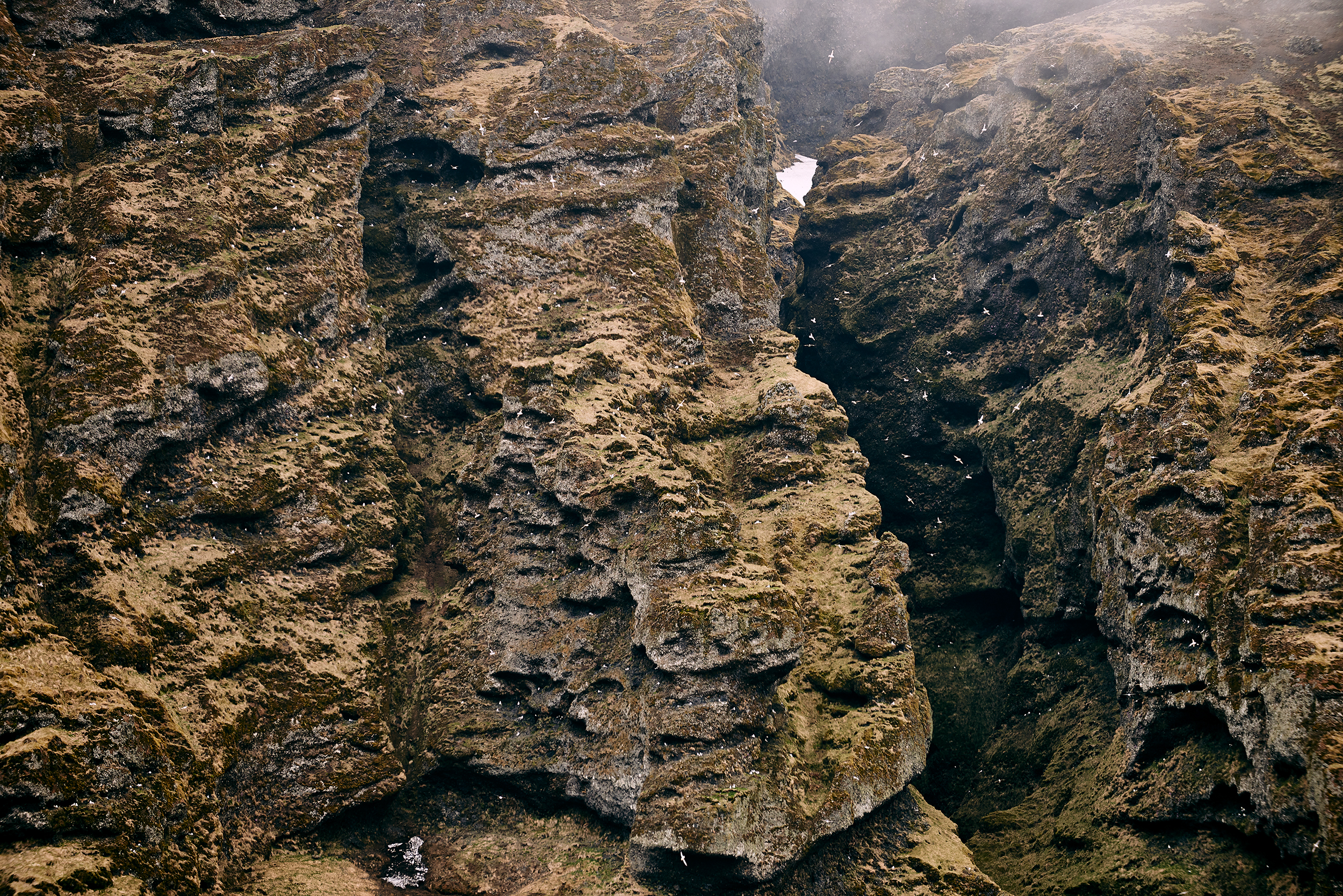 Puffins & Crag