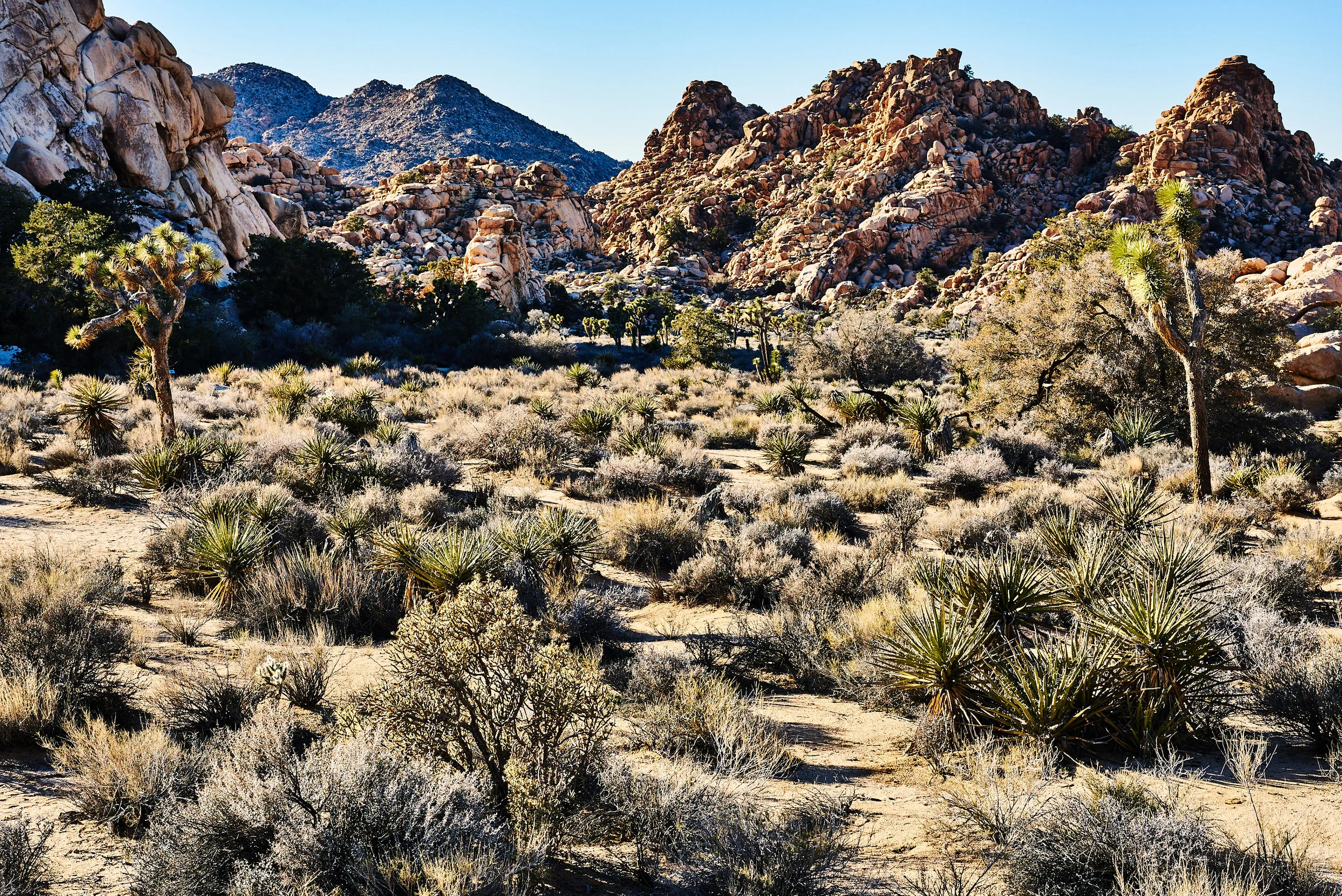 Hidden Valley