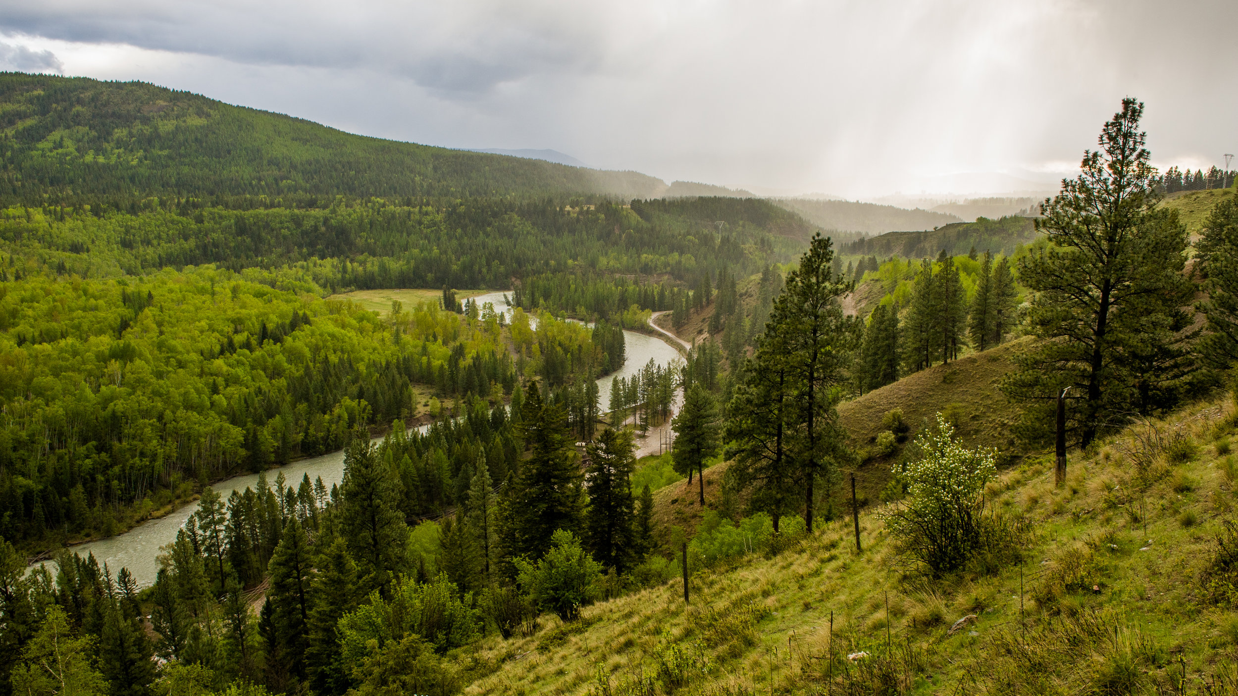 River Valley Rainfall