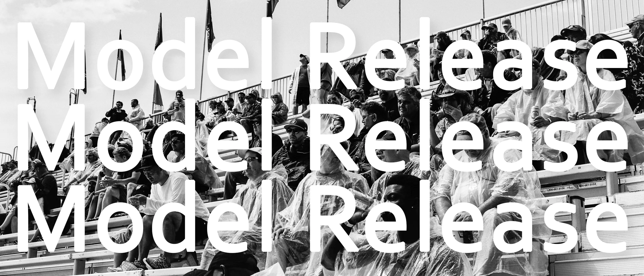 model_release_banner.jpg