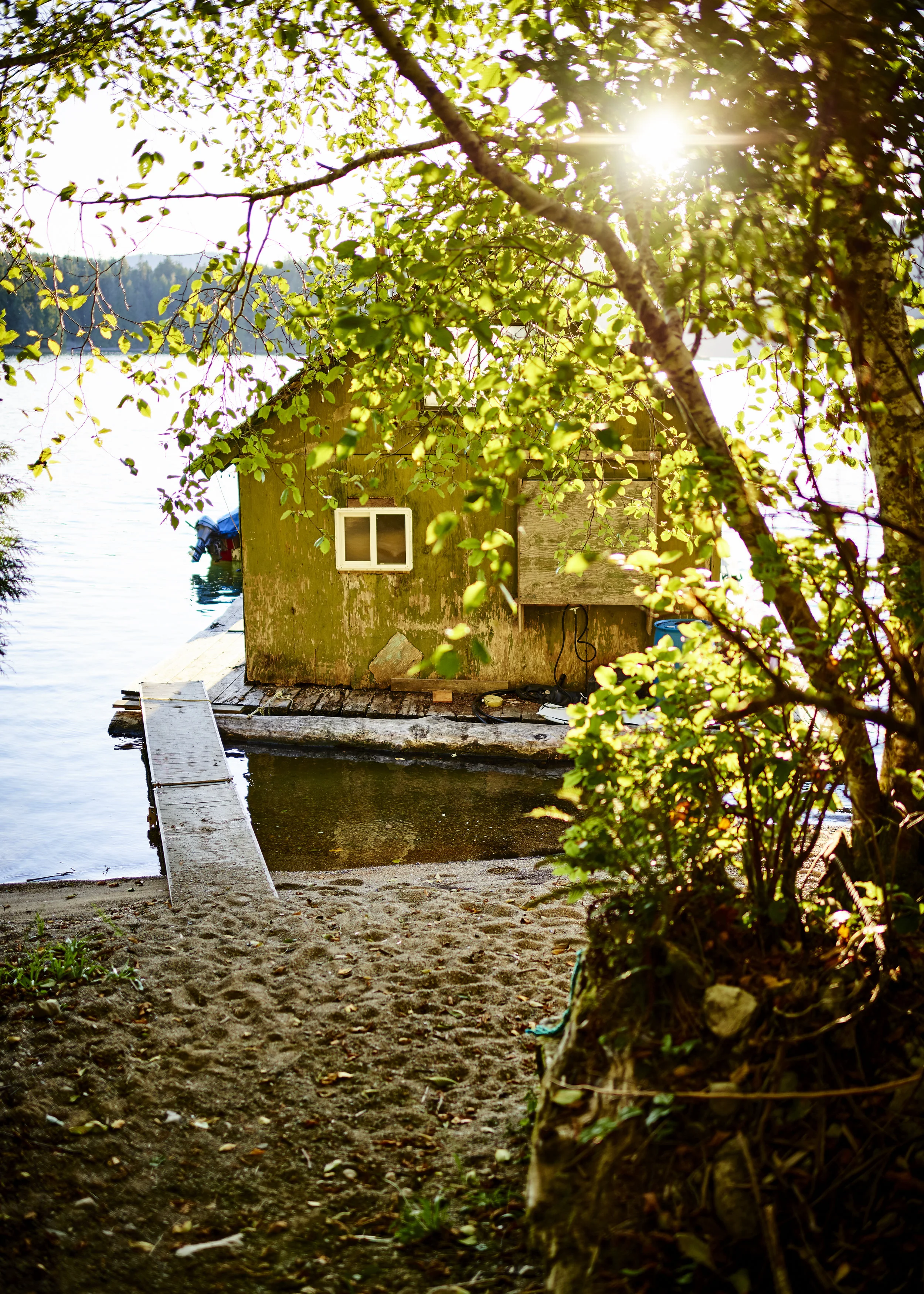 Delaine's Cabin