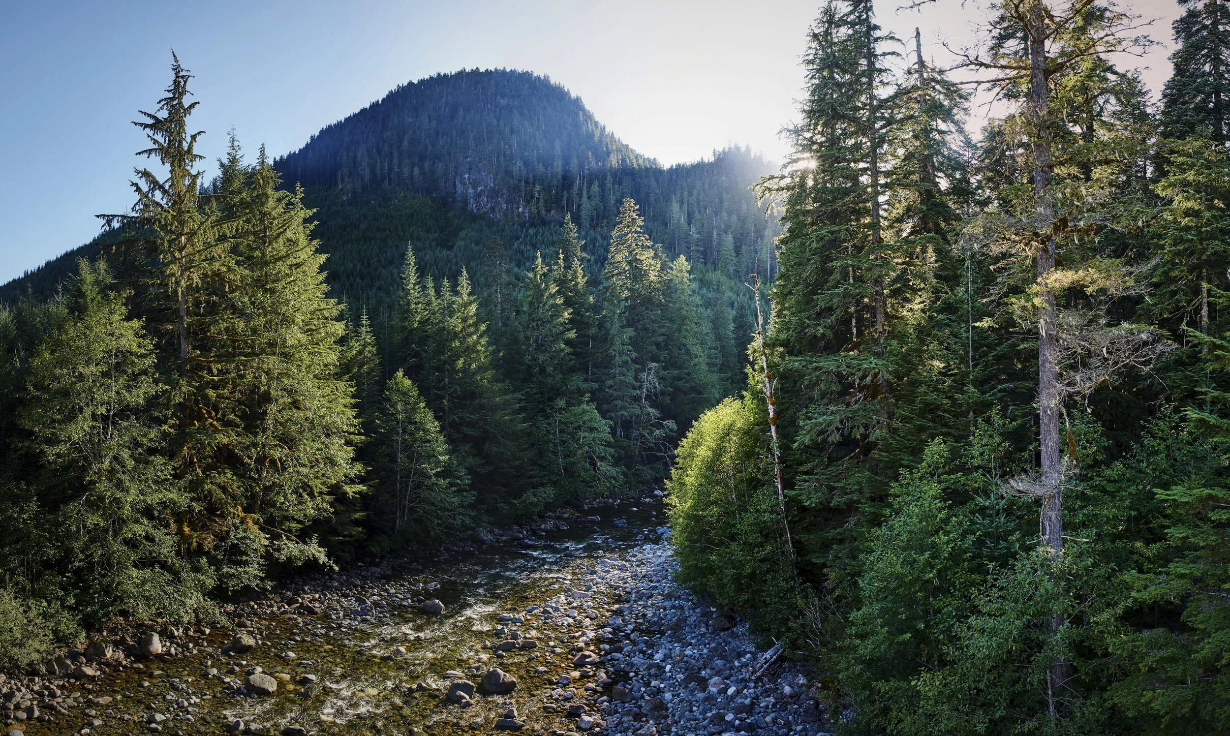 Stratton Provincial Park Vancouver Island, BC
