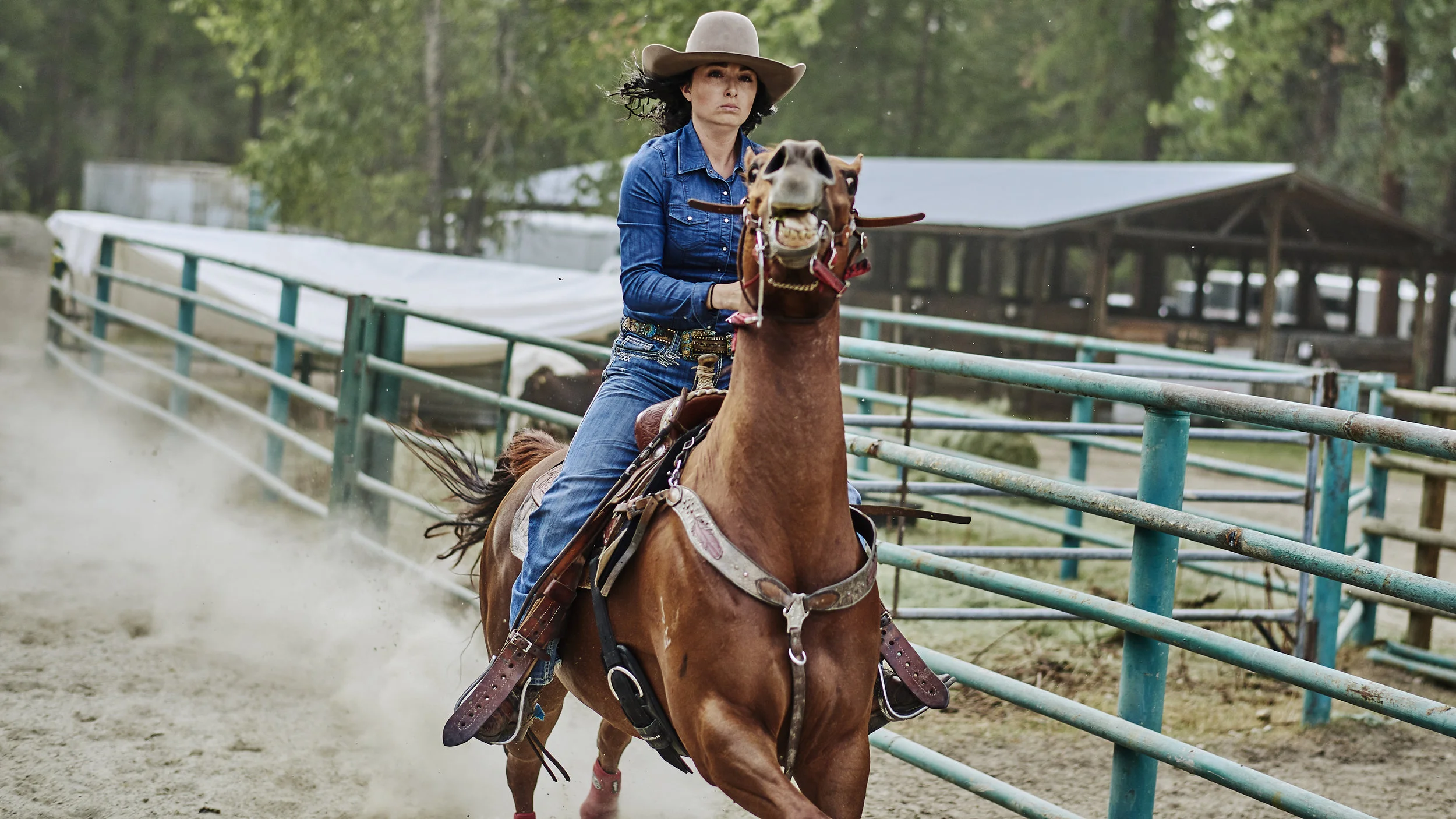 Rodeo