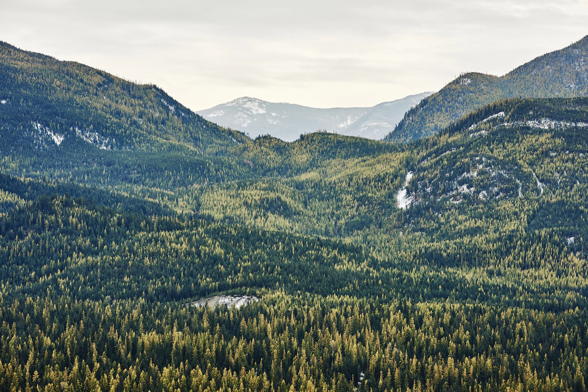 Tamarack Pass