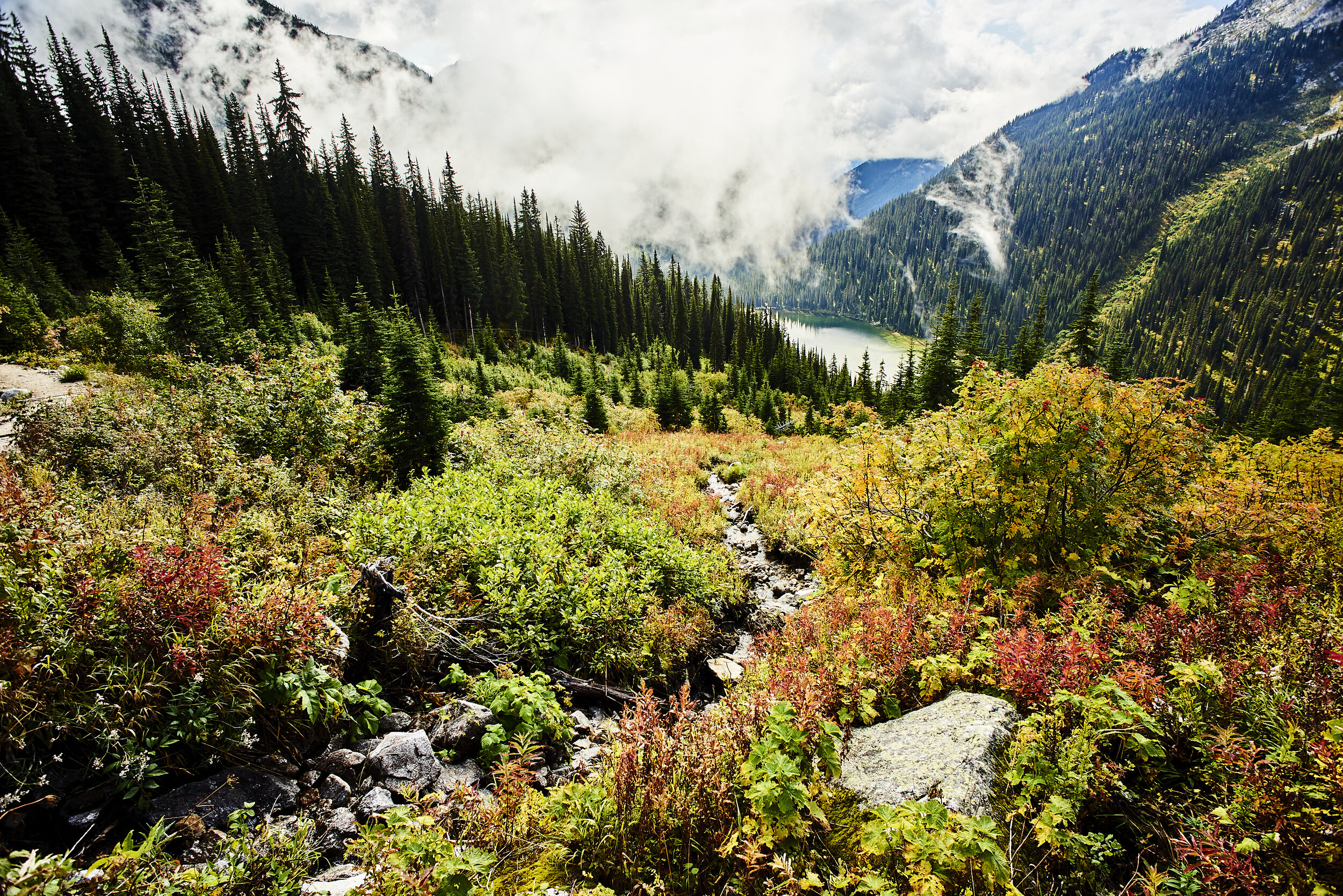 Above Gibson Lake