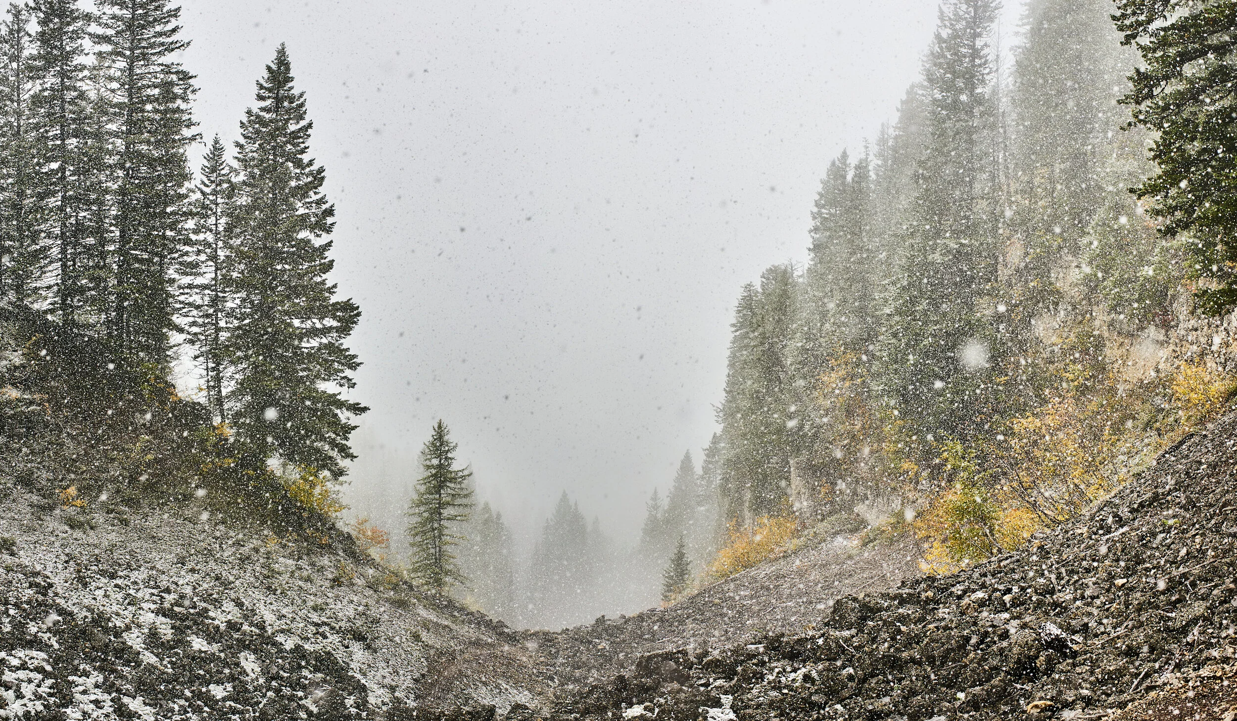 FIrst Snow