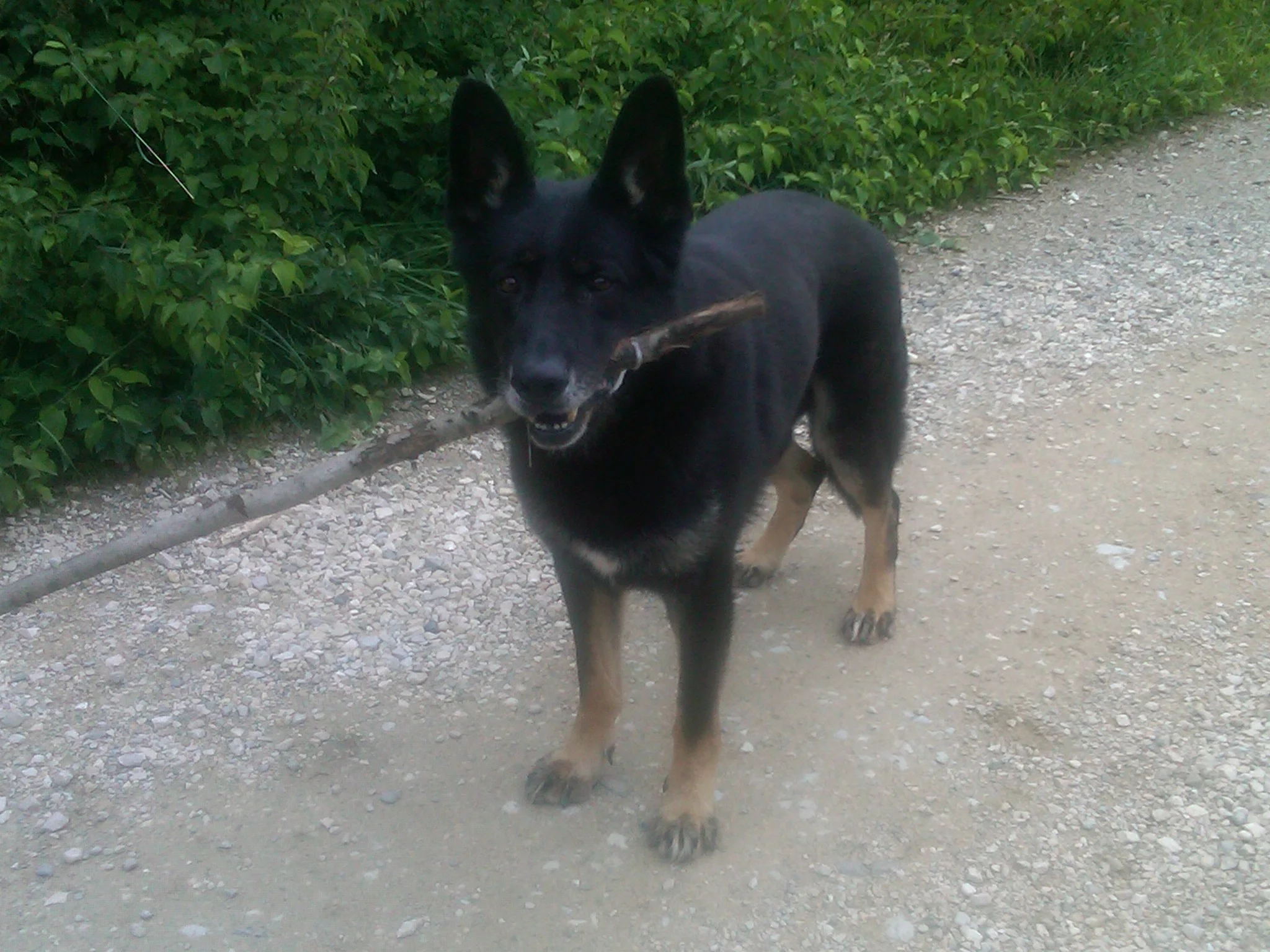 Bad Staffelstein-20110625-00119.jpg