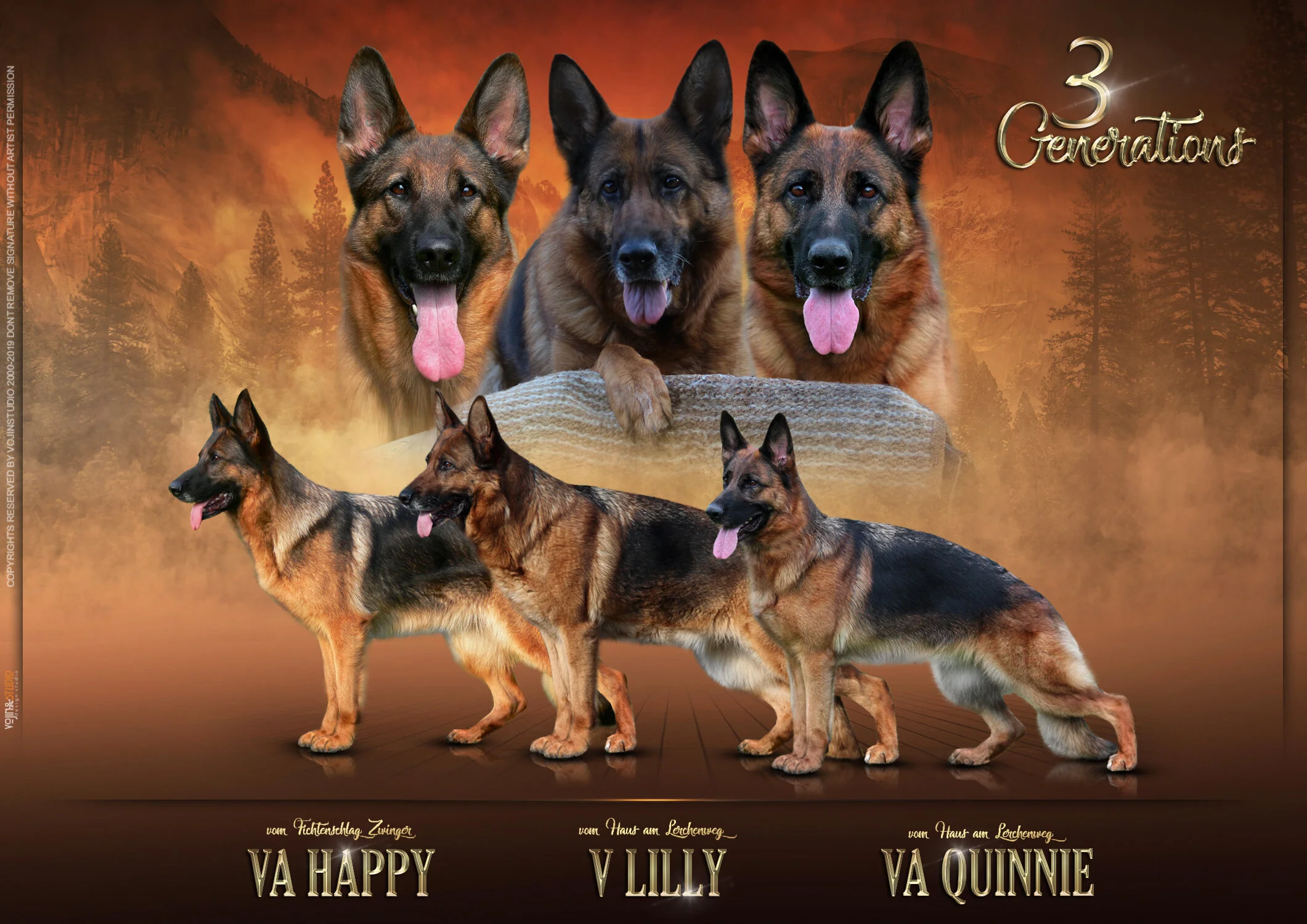 Our Foundation Vom Haus Am Lerchenweg