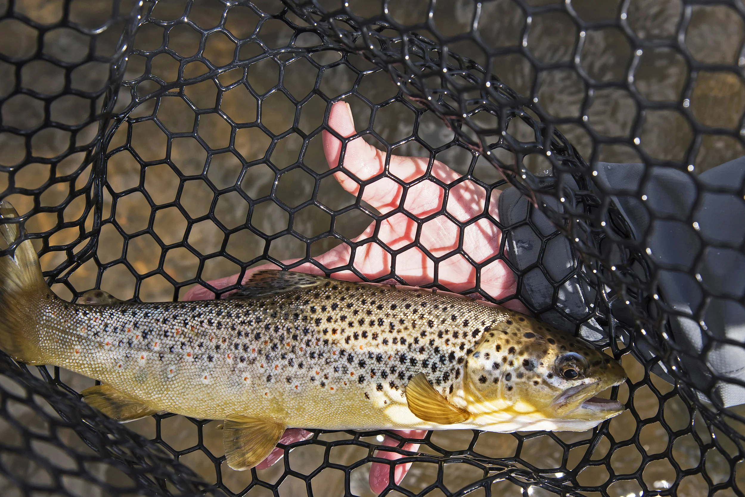 OutdoorRec-464.jpg