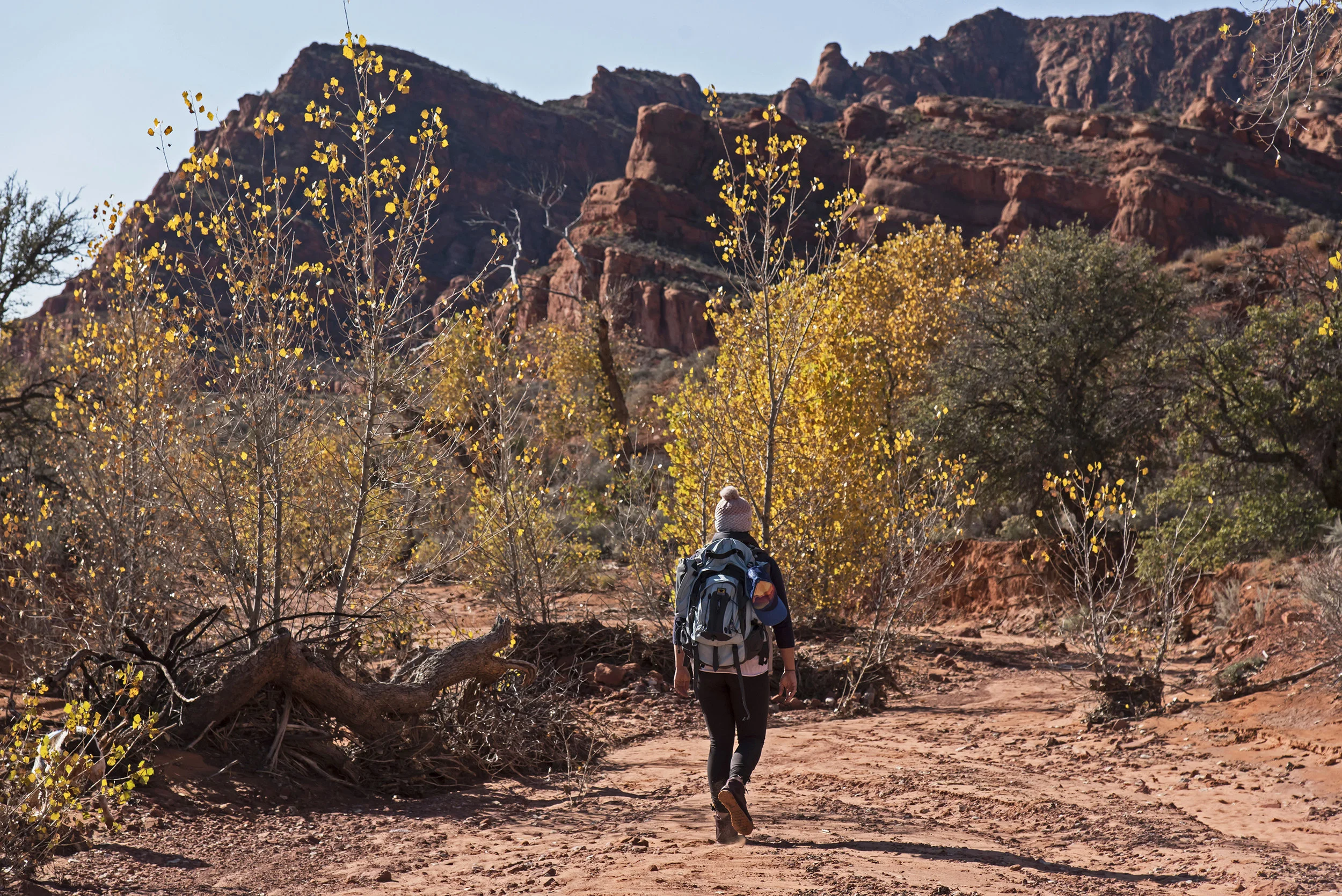 OutdoorRec-520.jpg
