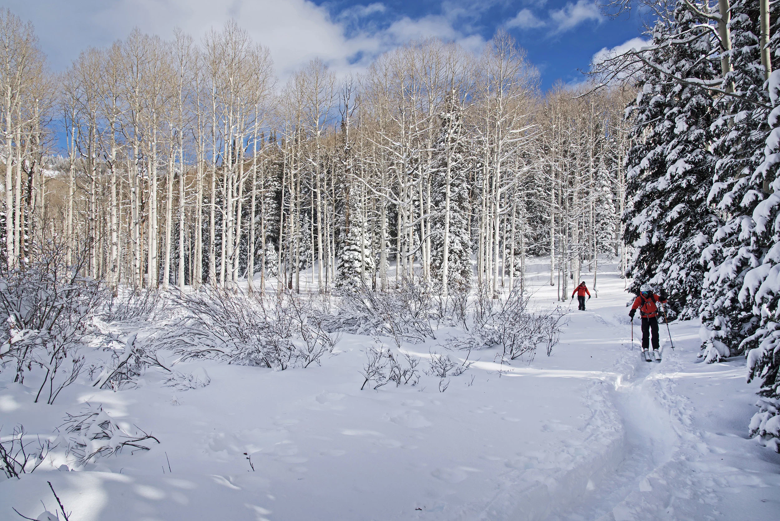 OutdoorRec-554.jpg