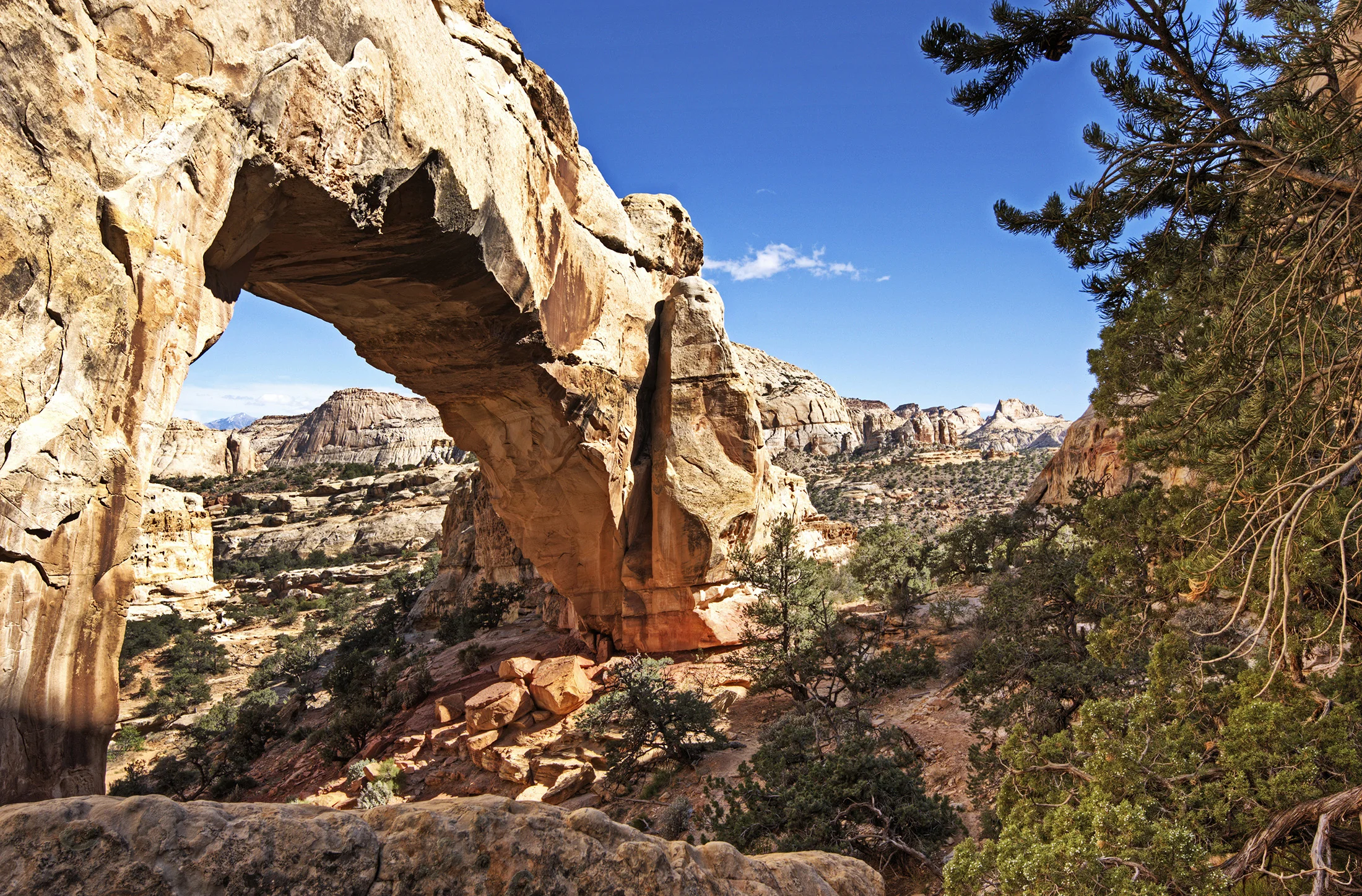 Landscape-02 (1).jpg