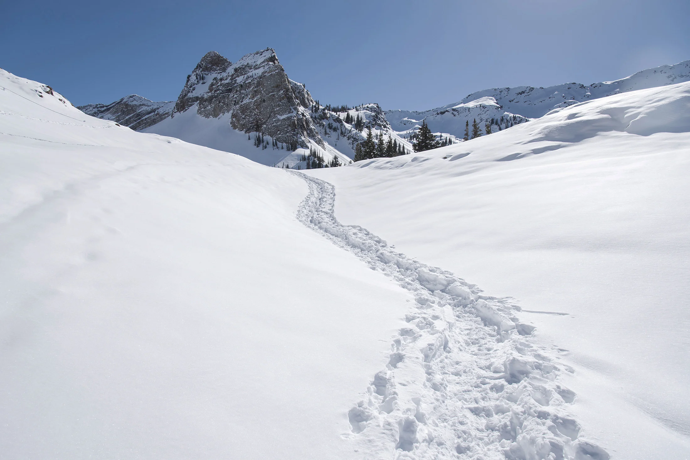 Landscape-04.jpg
