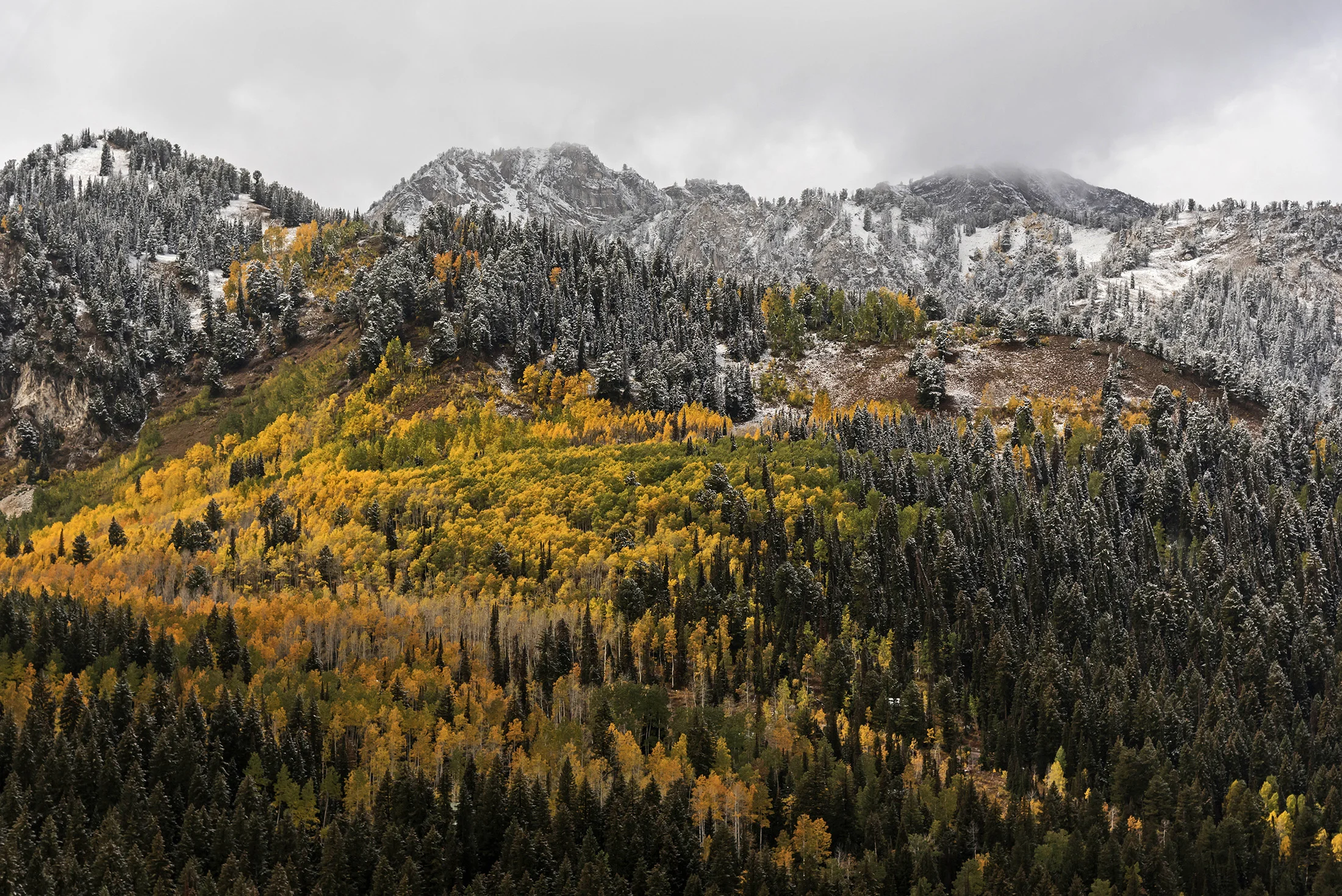 Landscape-06.jpg