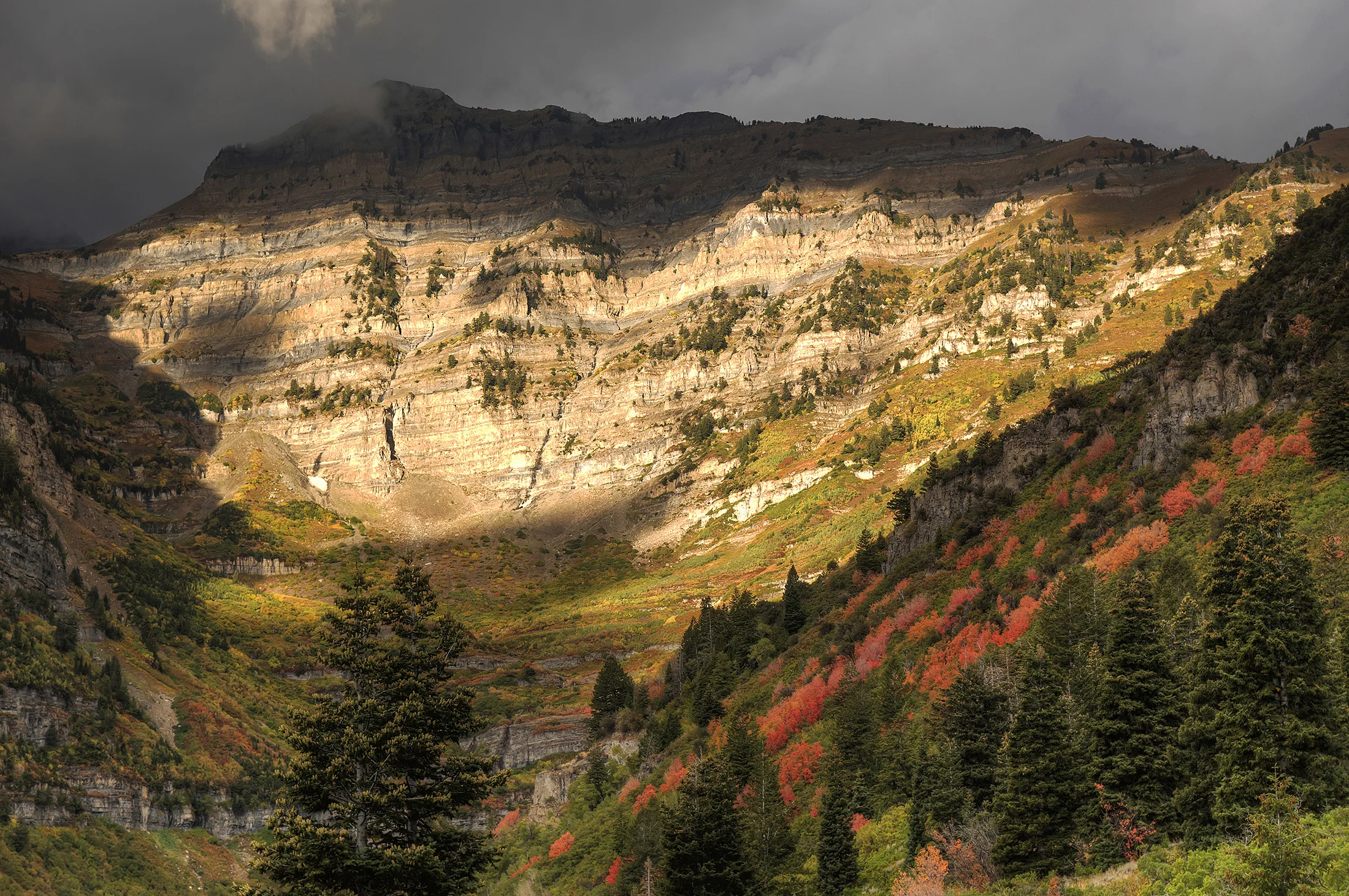 Landscape-07.jpg