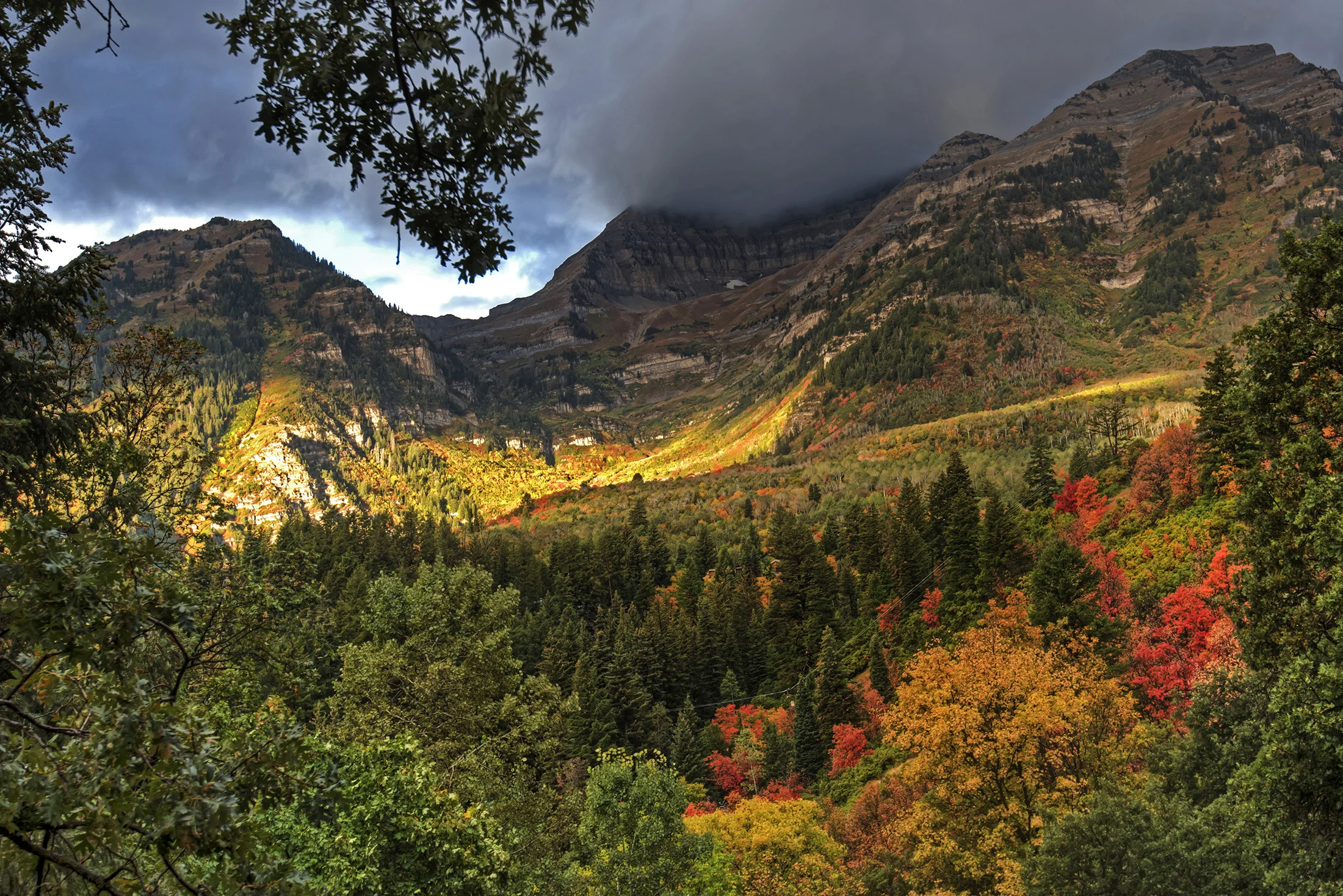 Landscape-08.jpg