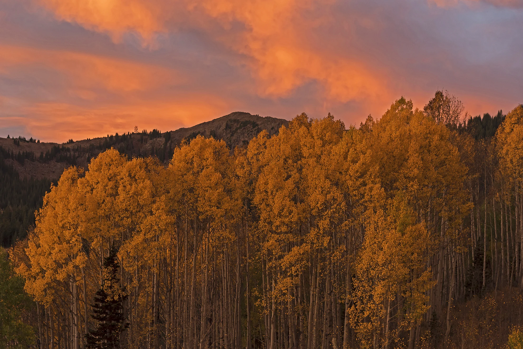 Landscape-14.jpg