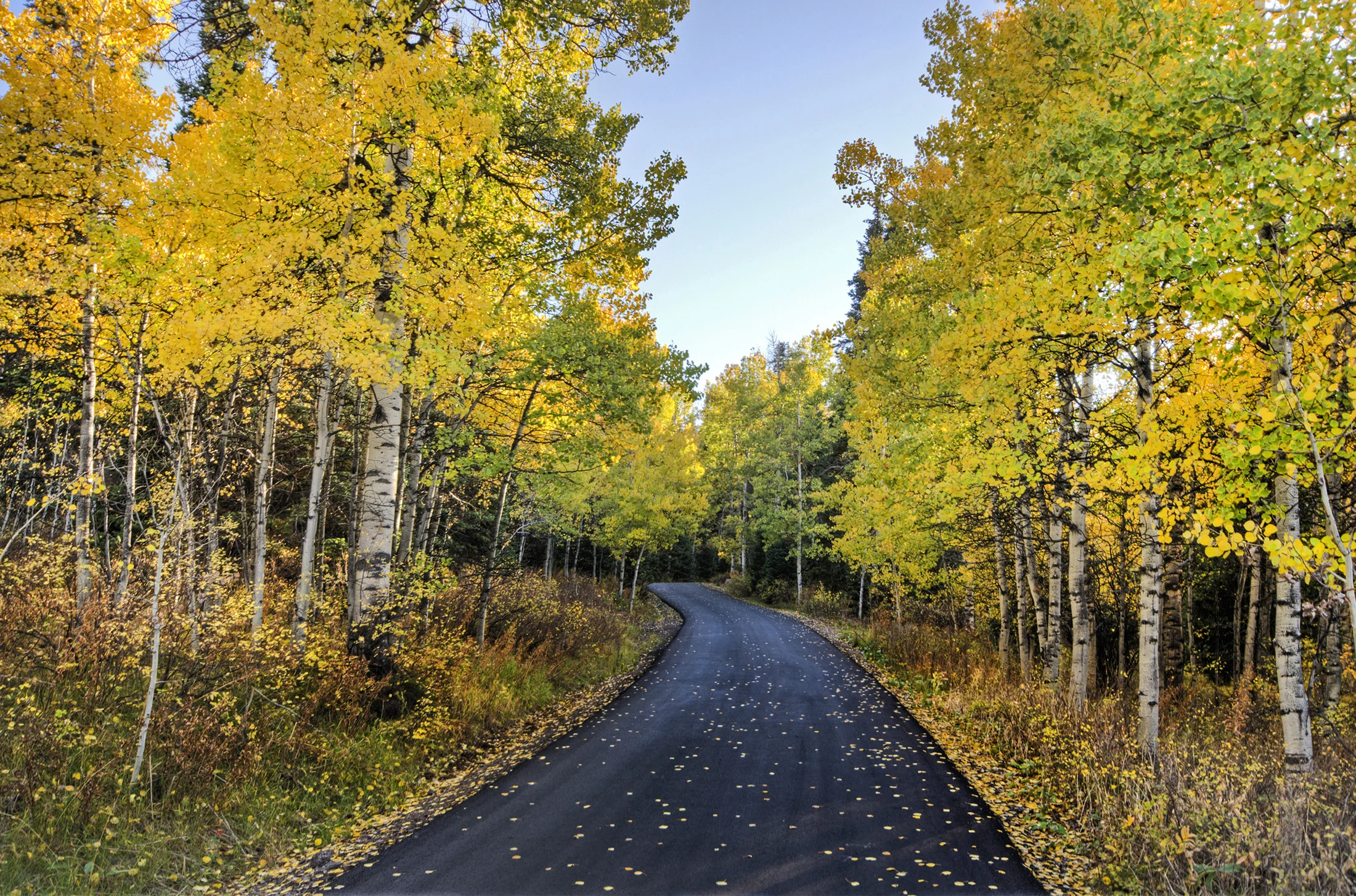 Landscape-24 (1).jpg