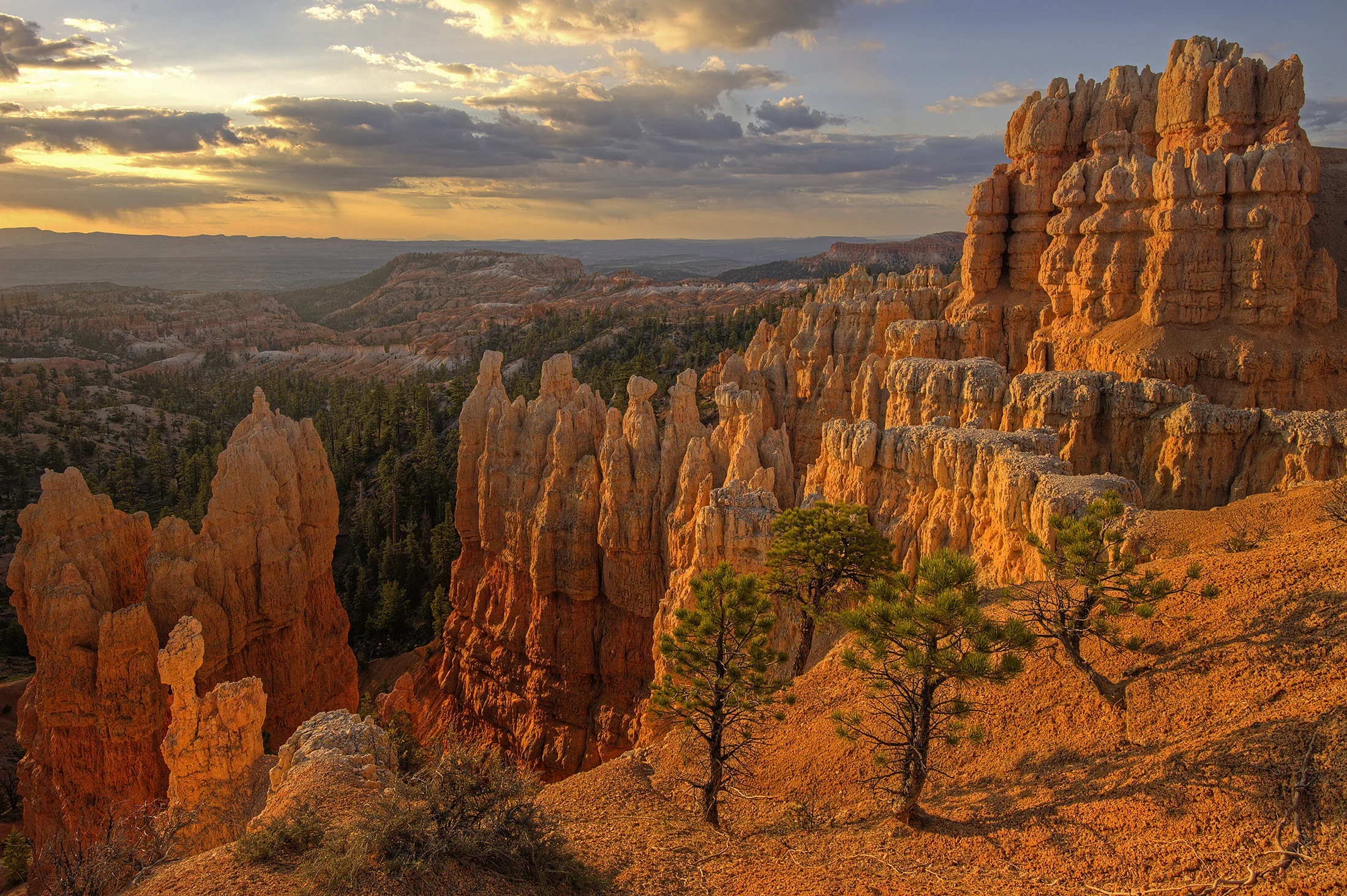 Landscape-26.jpg