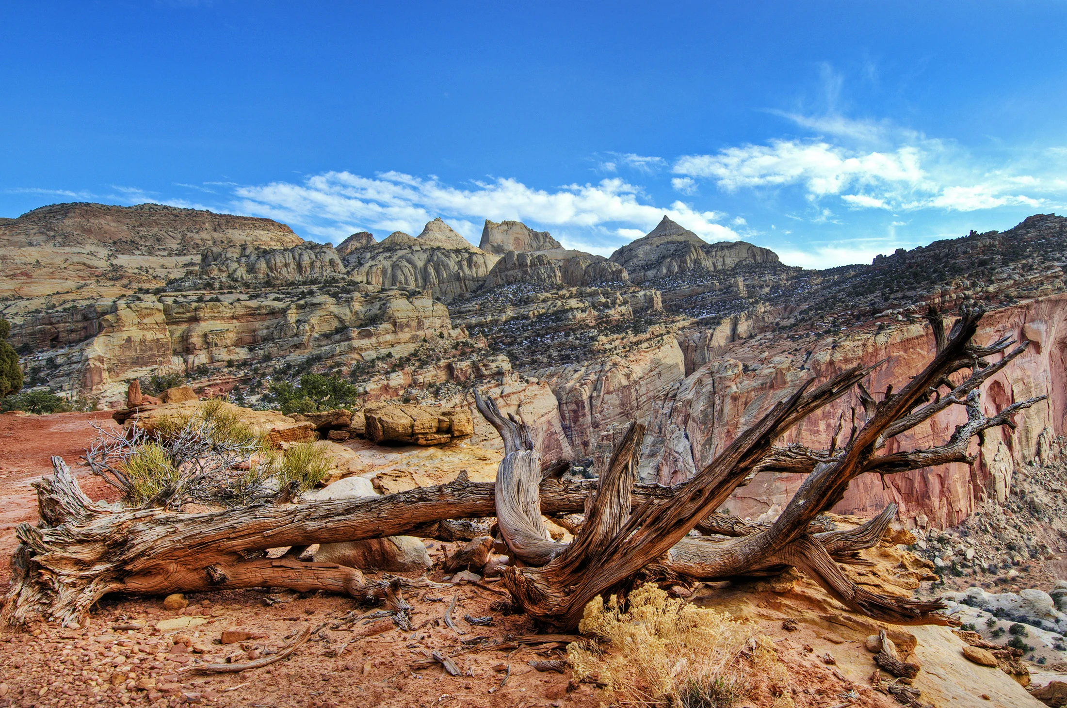 Landscape-33.jpg