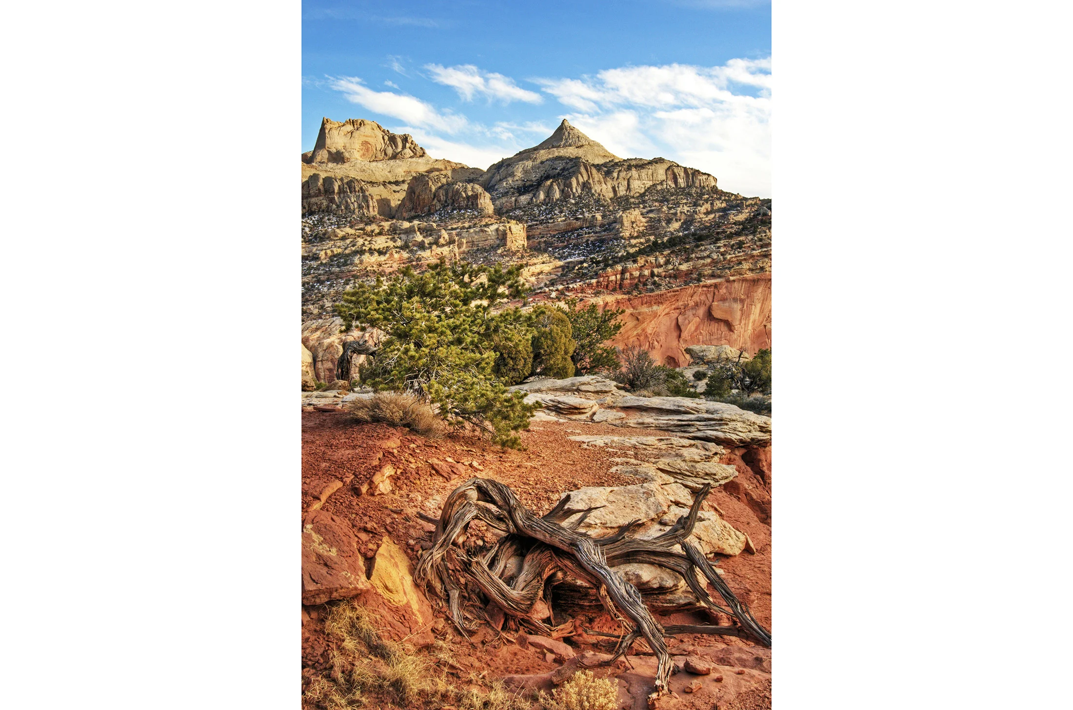 Landscape-34.jpg