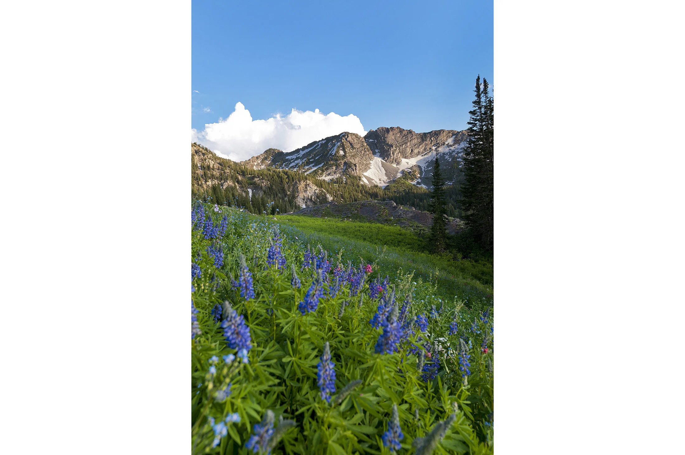 Landscape-37.jpg