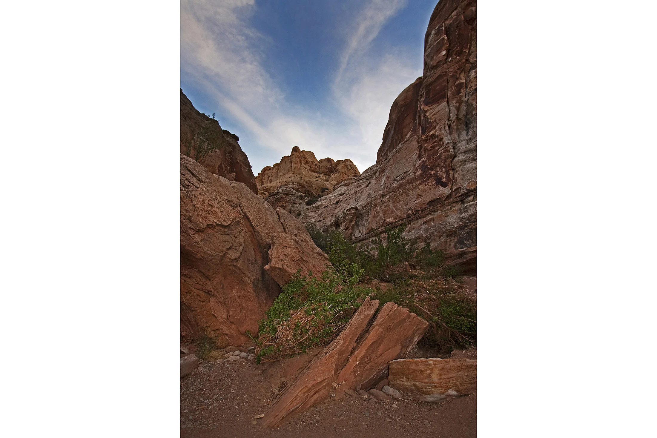 Landscape-39 (1).jpg