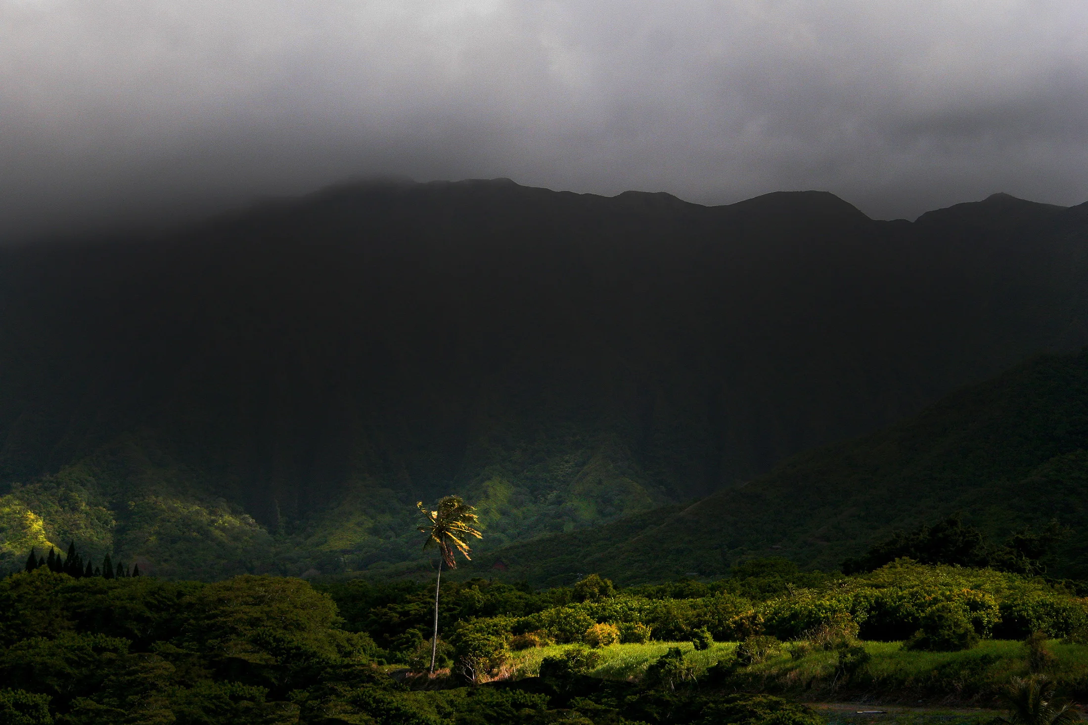 Landscape-44.jpg