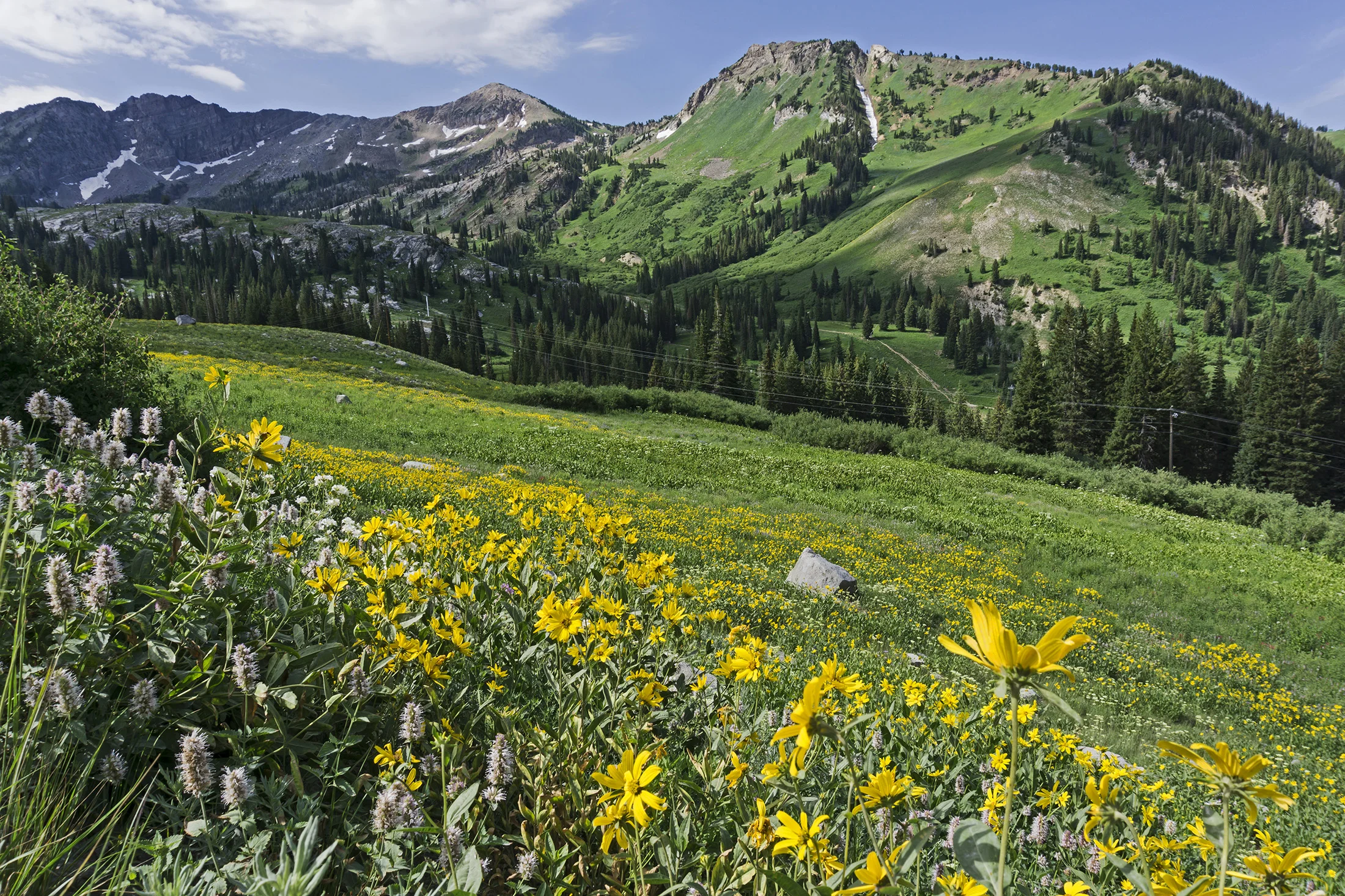 Landscape-46.jpg