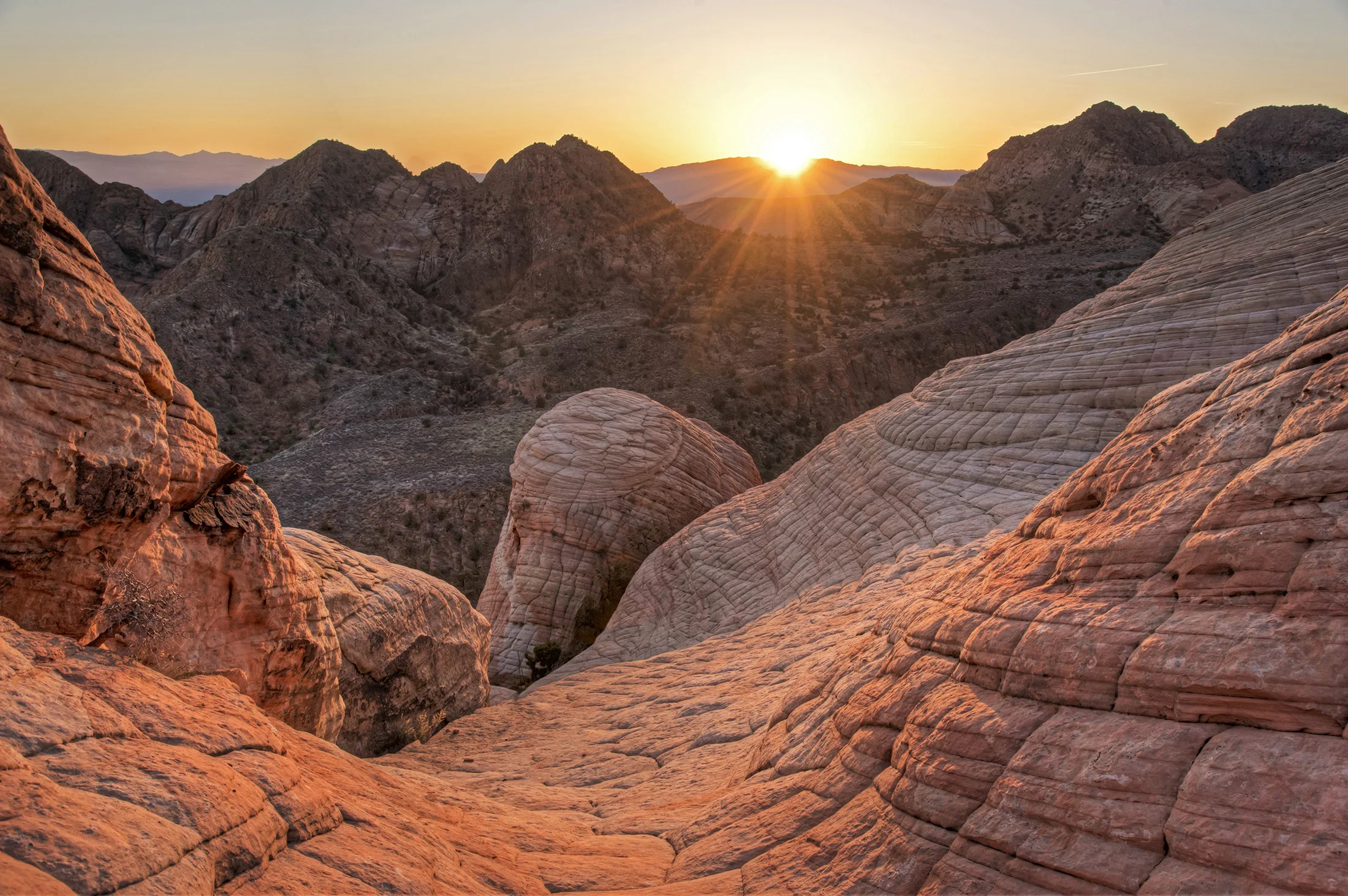 Landscape-53.jpg