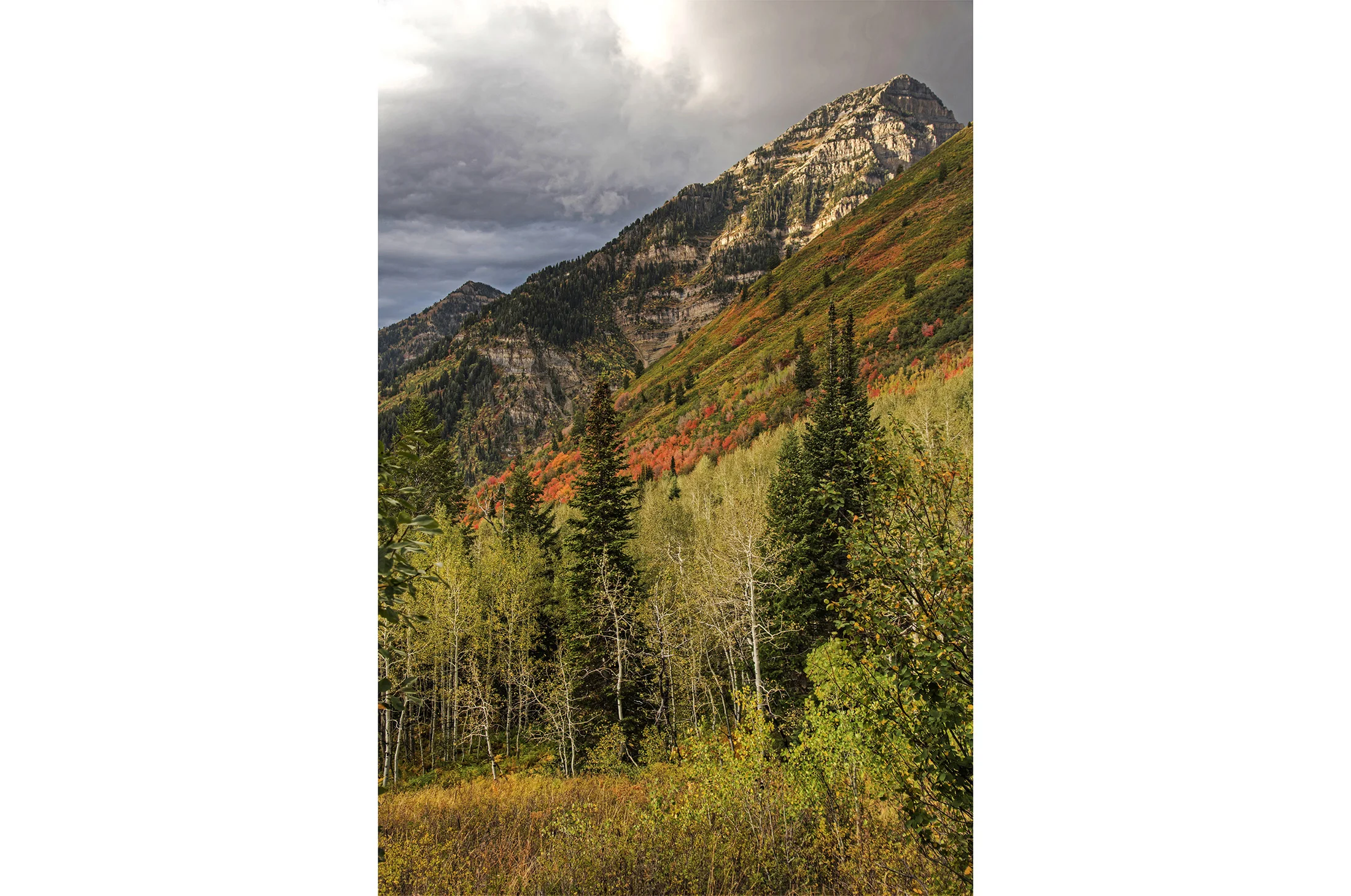 Landscape-64.jpg