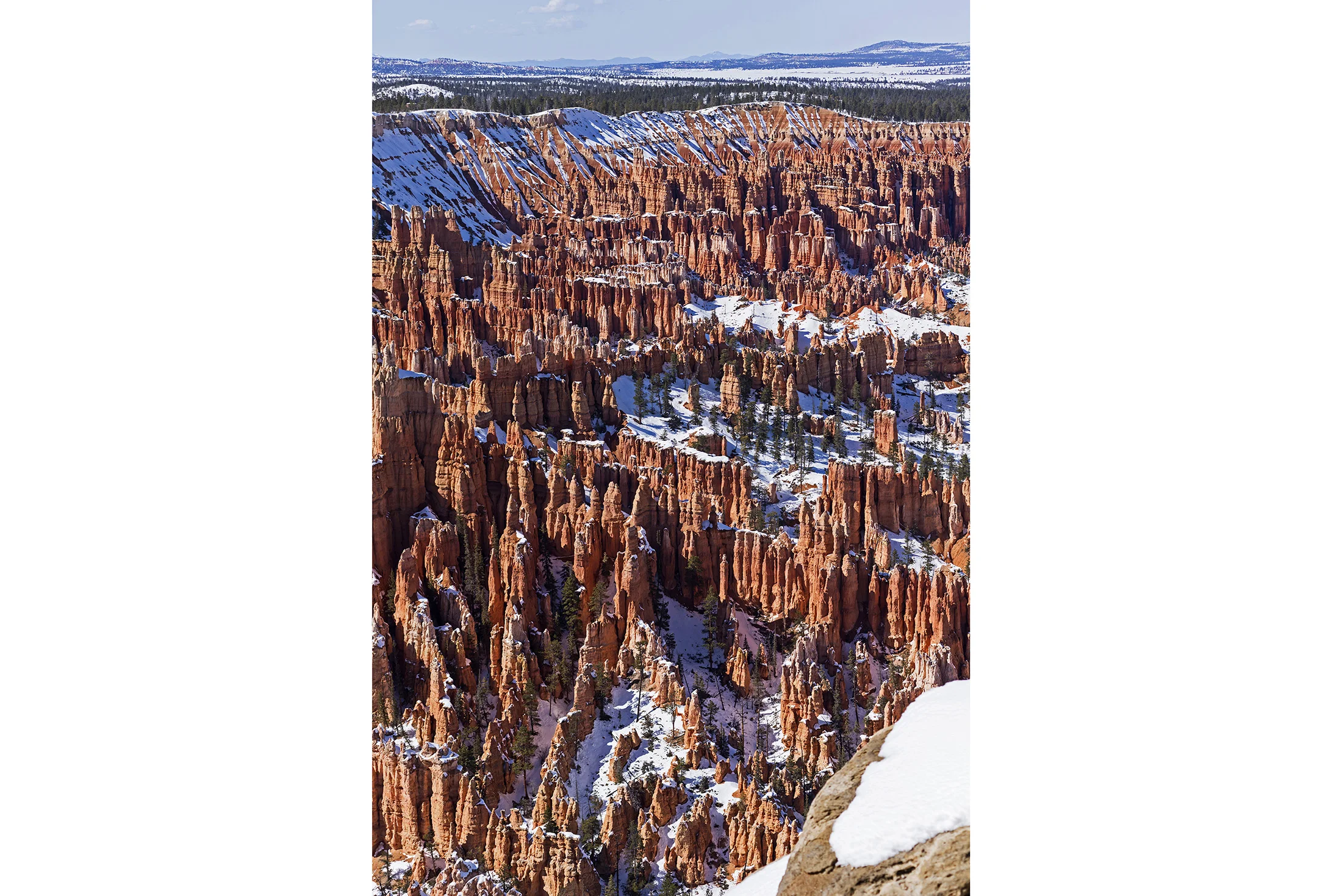 Landscape-84.jpg