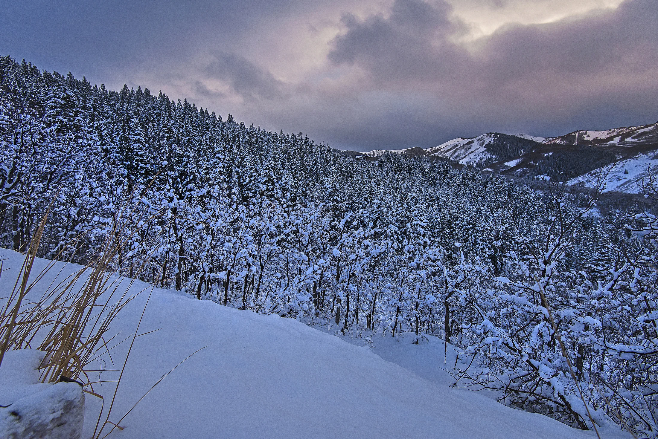 ParkCityForTara-003.jpg