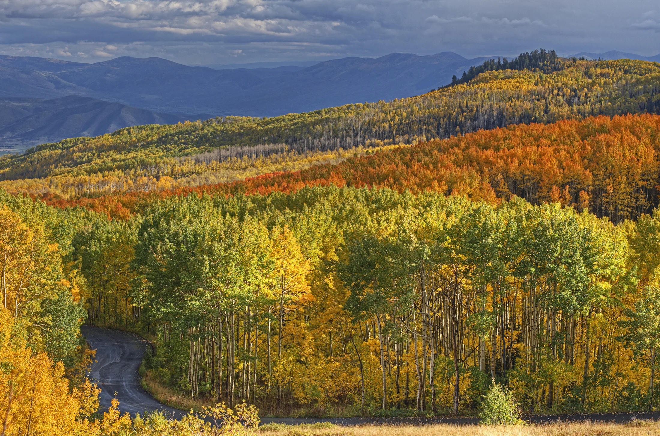 ParkCityForTara-006.jpg