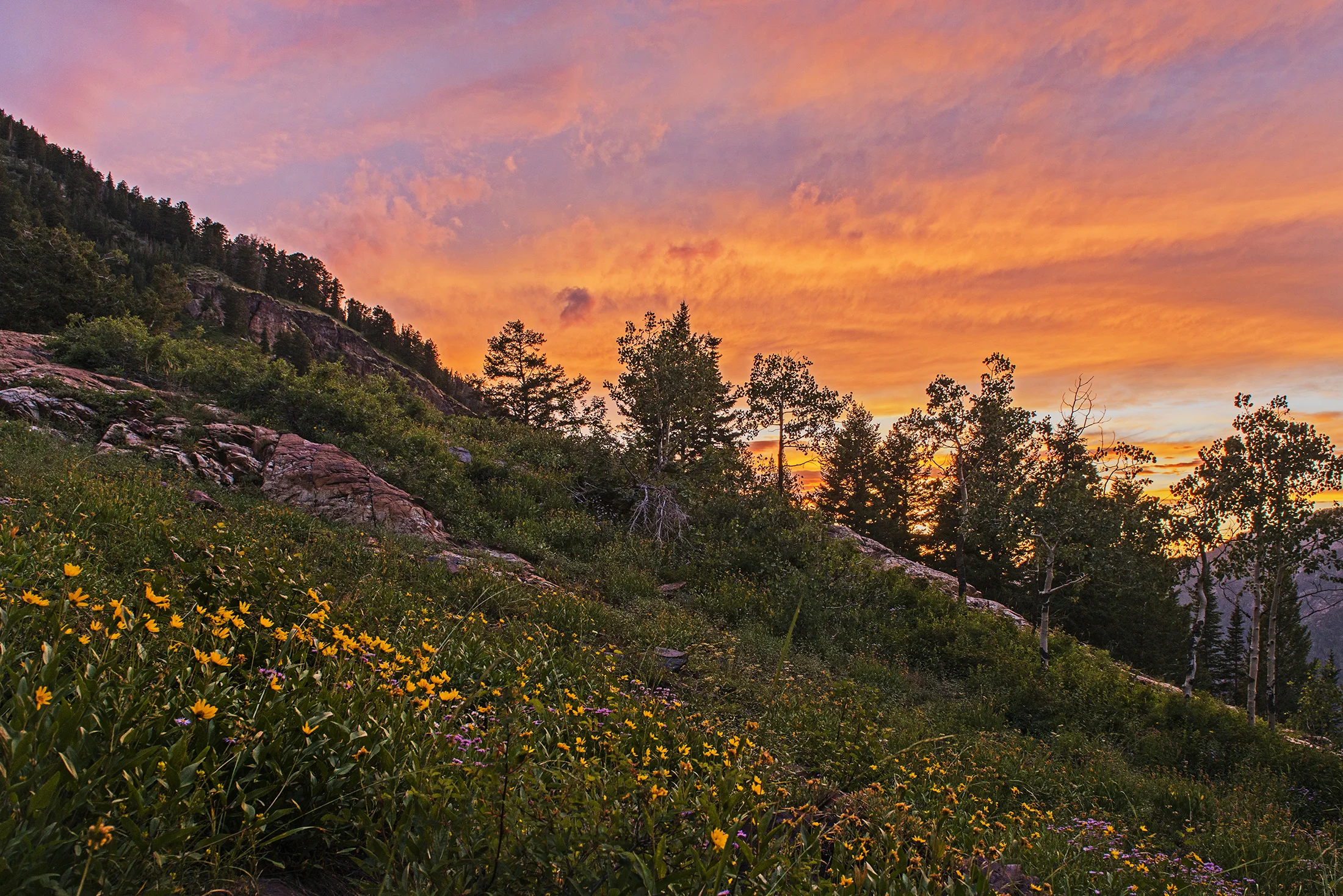 ParkCityForTara-011.jpg