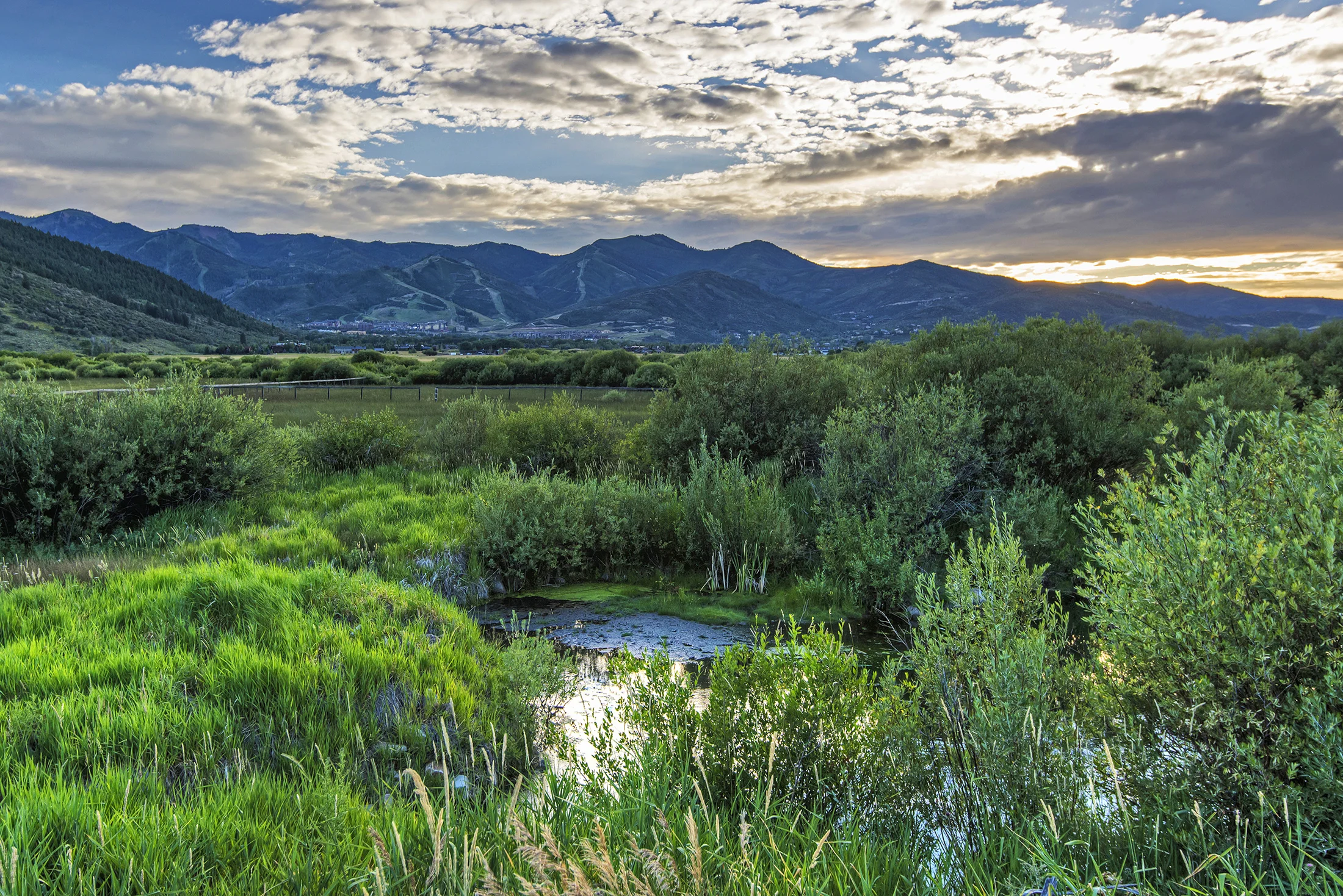 ParkCityForTara-012.jpg